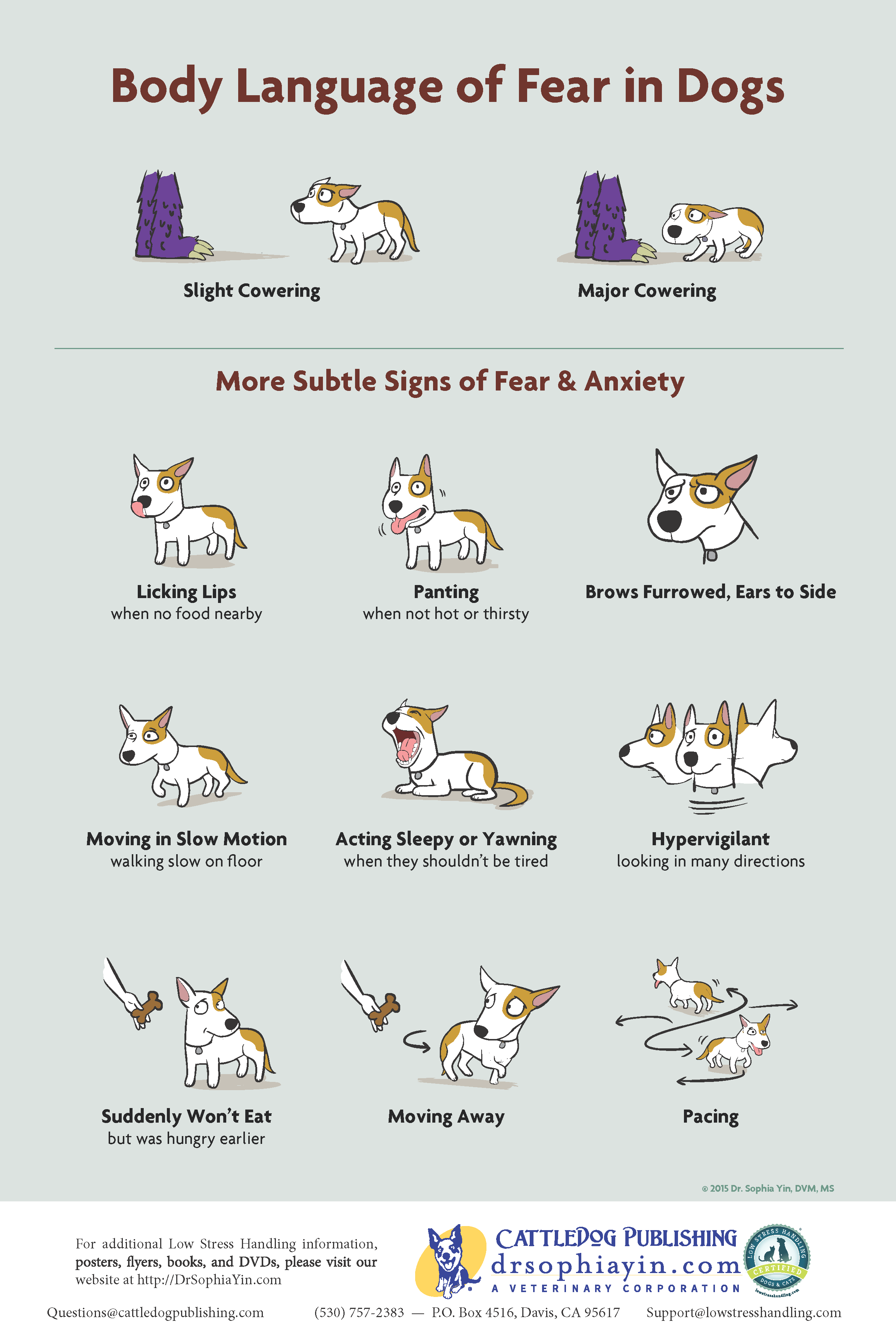 Body-Language-of-Fear-in-Dogs-Poster.png