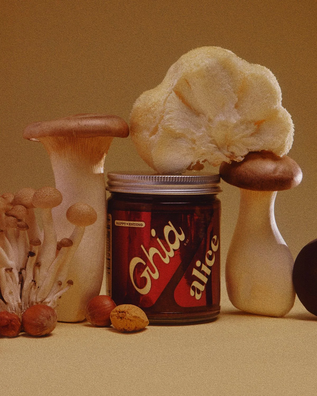 GhiaxAlice0208e_4x5.jpg