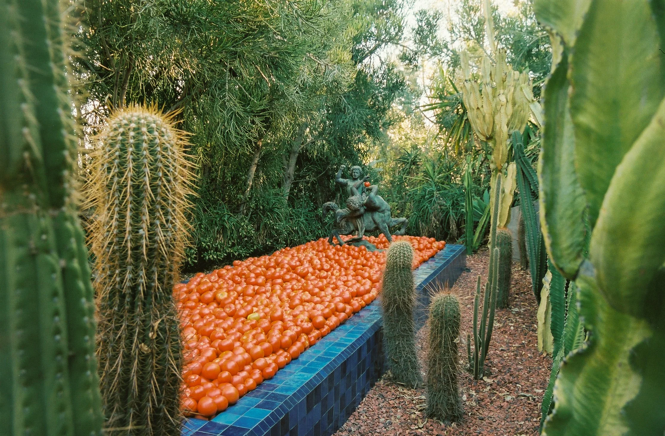 0295000_0295000-R1-063-30-2.jpg