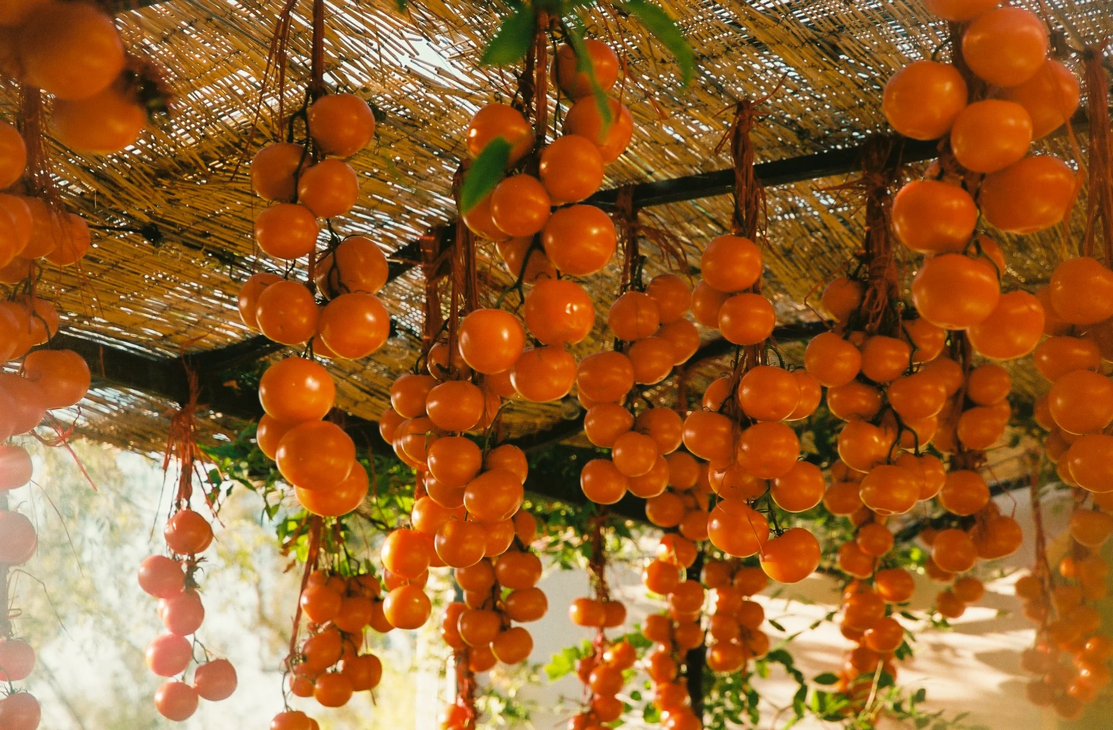 0297000_0297000-R1-017-7.jpg