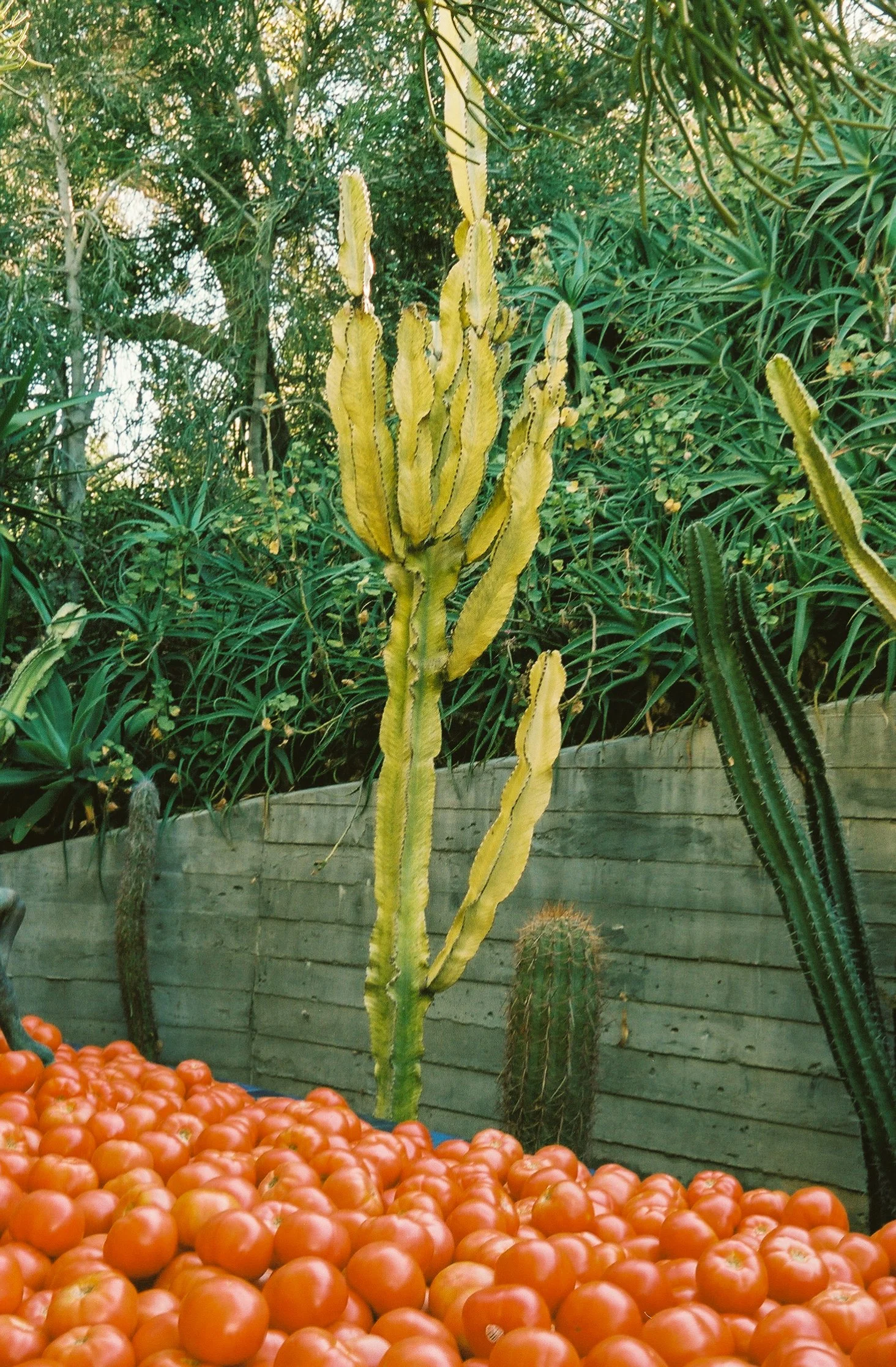 0298000_0298000-R1-039-18.jpg