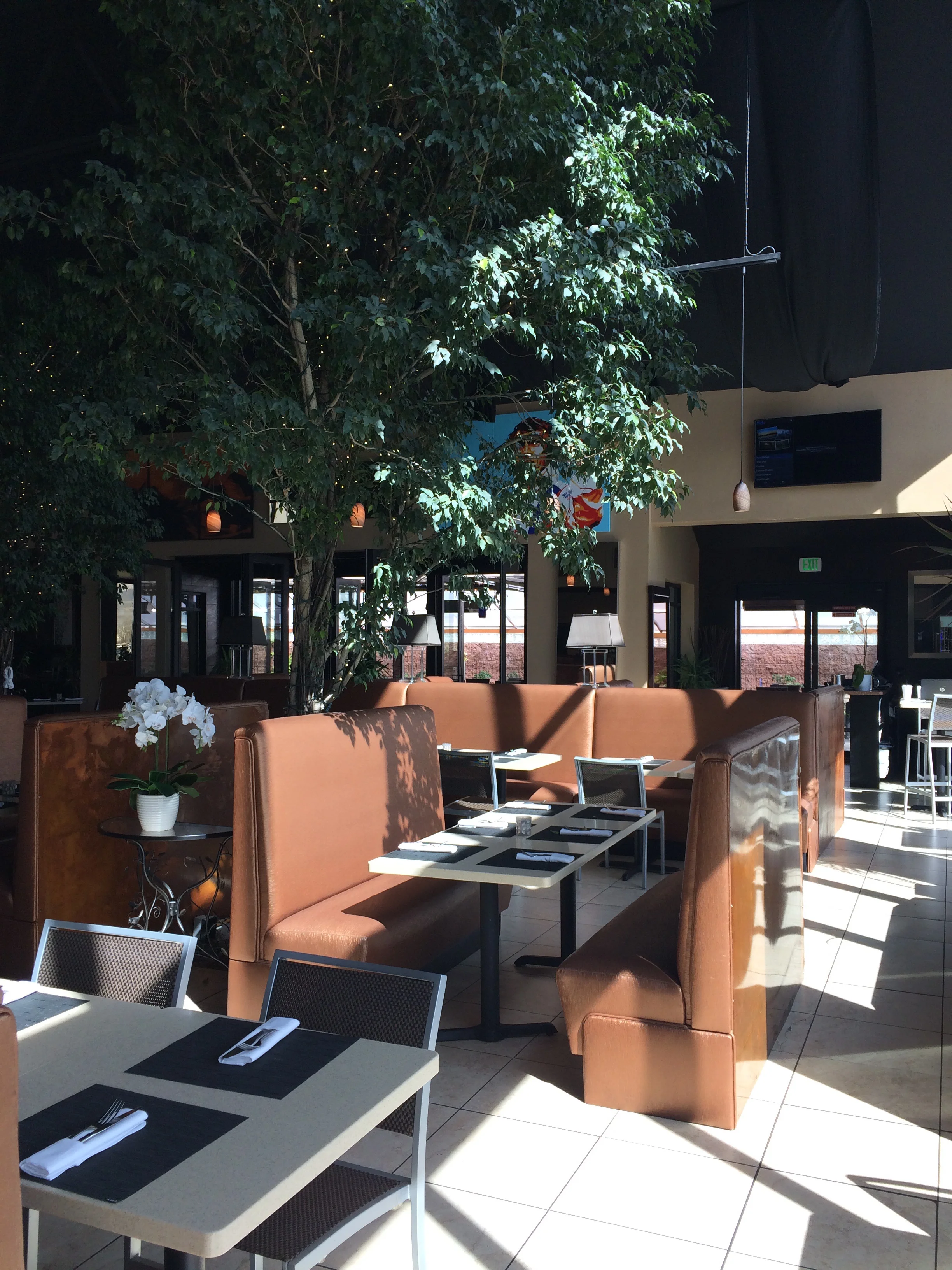 A booth under a tree...only at Toscano