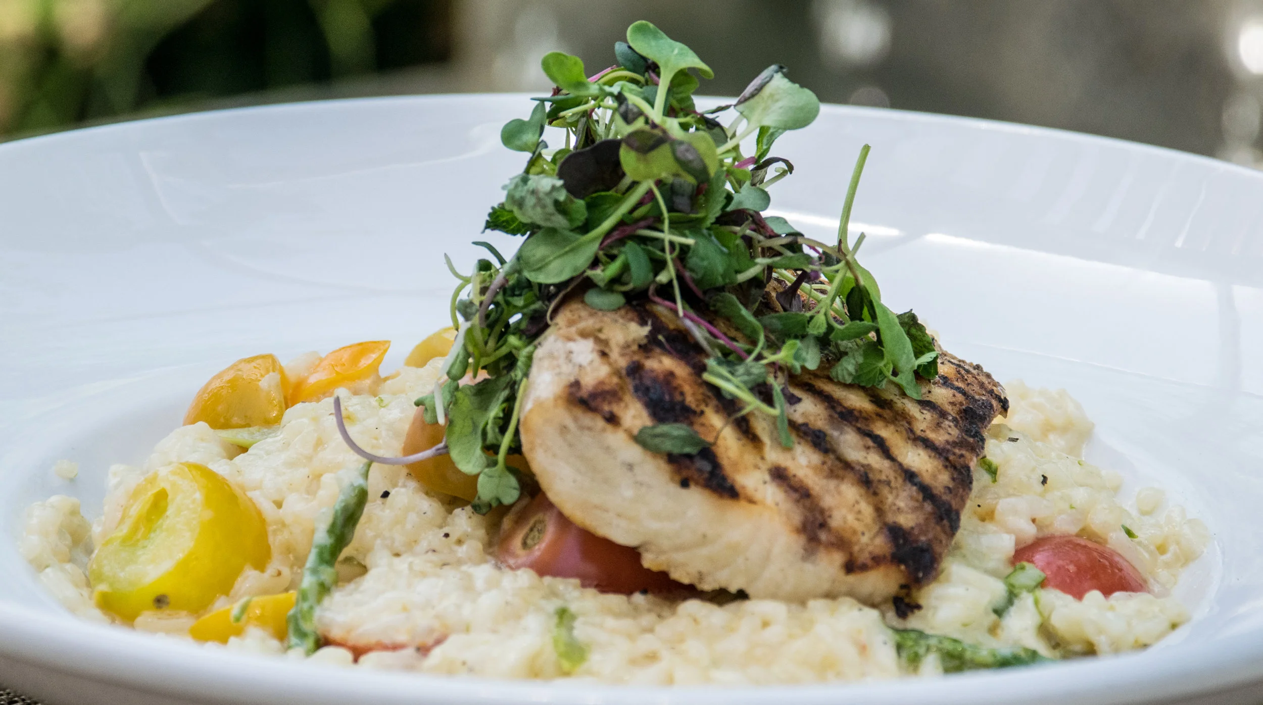 Toscano SeaBass with Risotto
