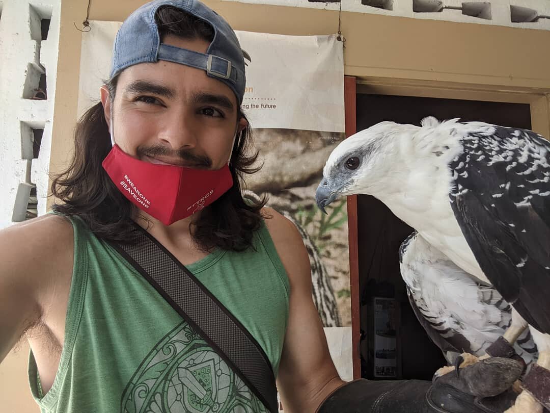 &quot;what did you do today?&quot; Oh nun much.. just took a selfie with a flacon.. #WhiteHawk #WildLife #Falcon #Bird #BirdOfPrey #WildlifeConservation #elsocorrowildlifecentre