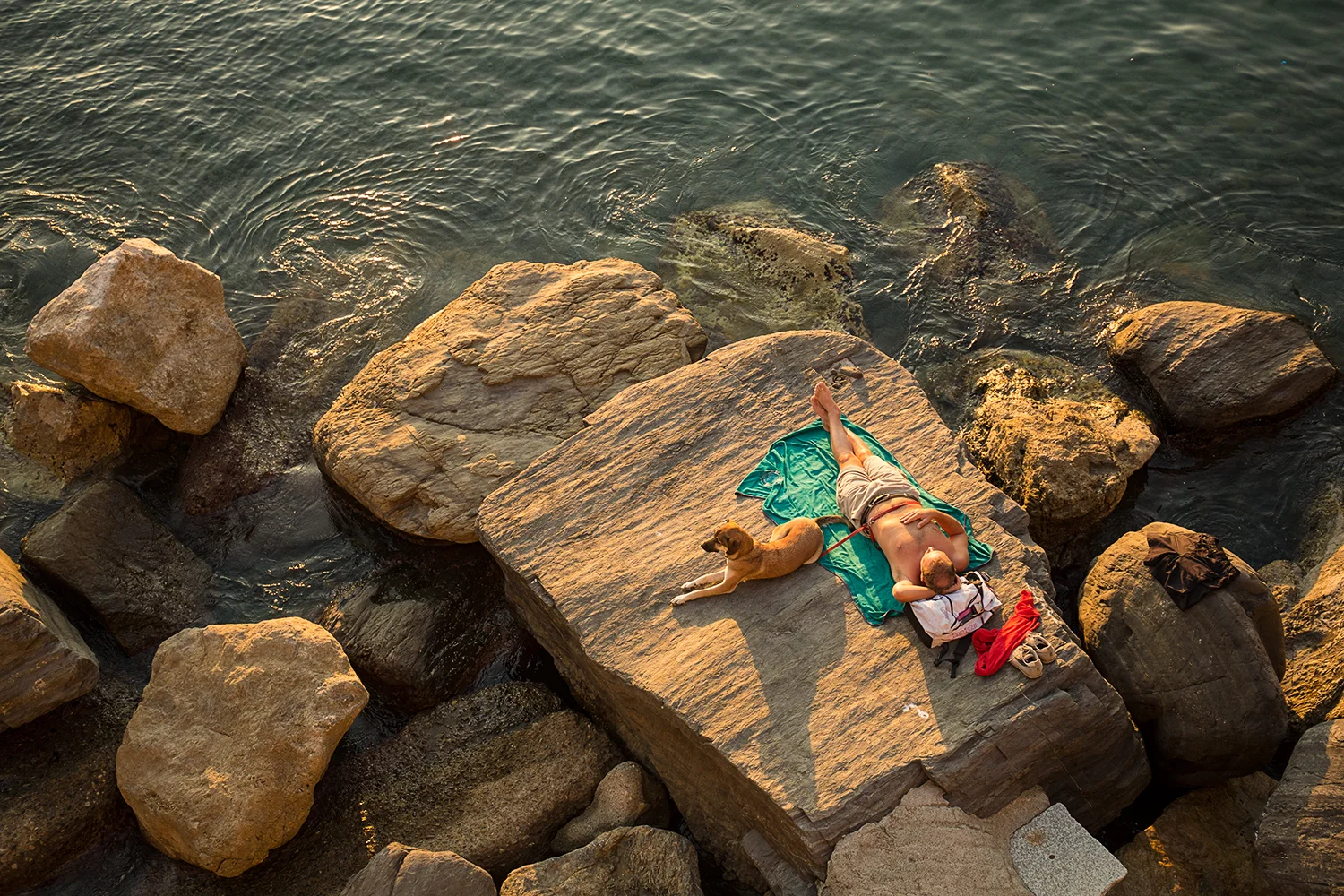 Vernazza_Sunbather & Friend_B4A7383.jpg