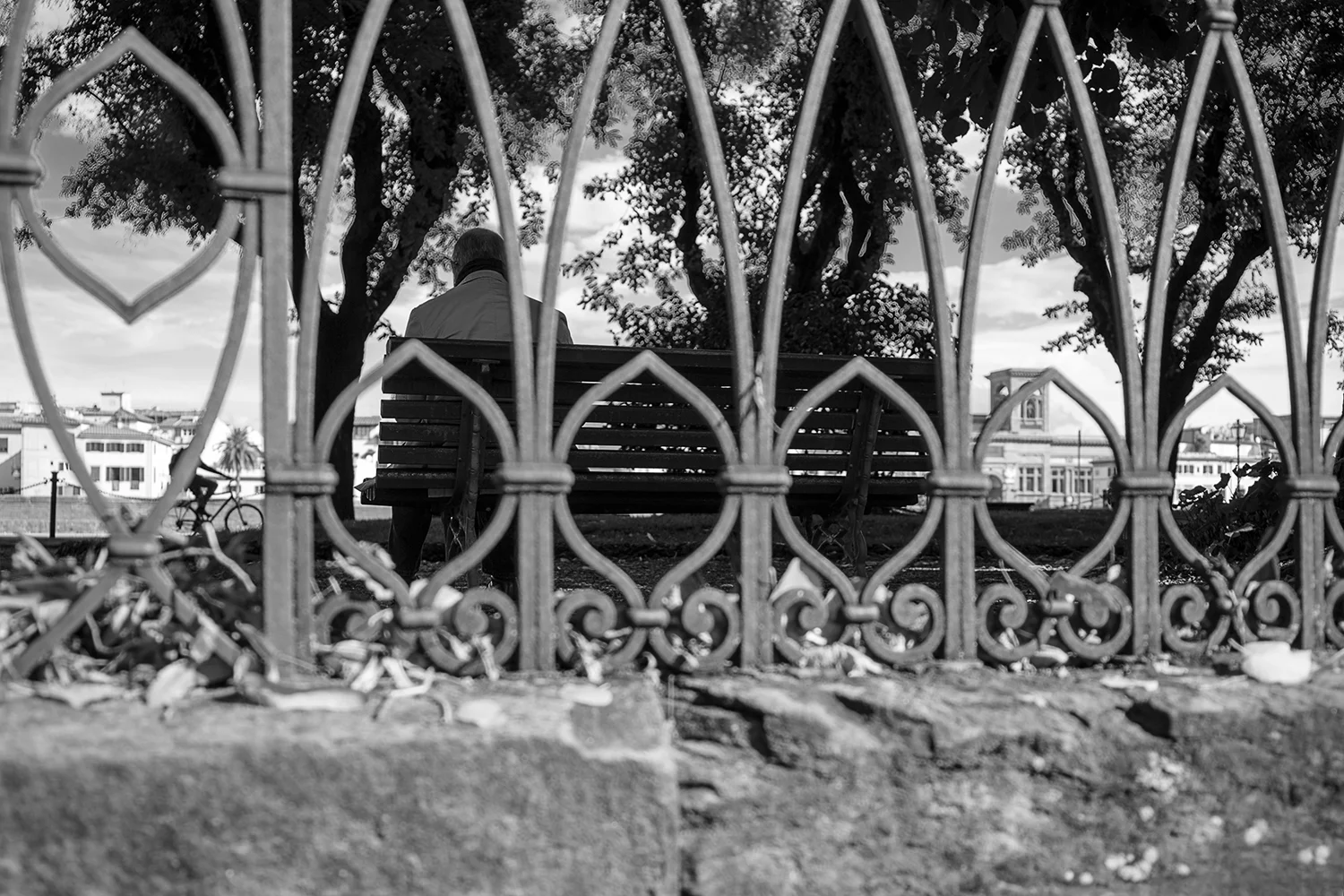 Florence_Man On Bench_B4A0824.jpg