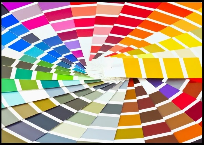 color Palette