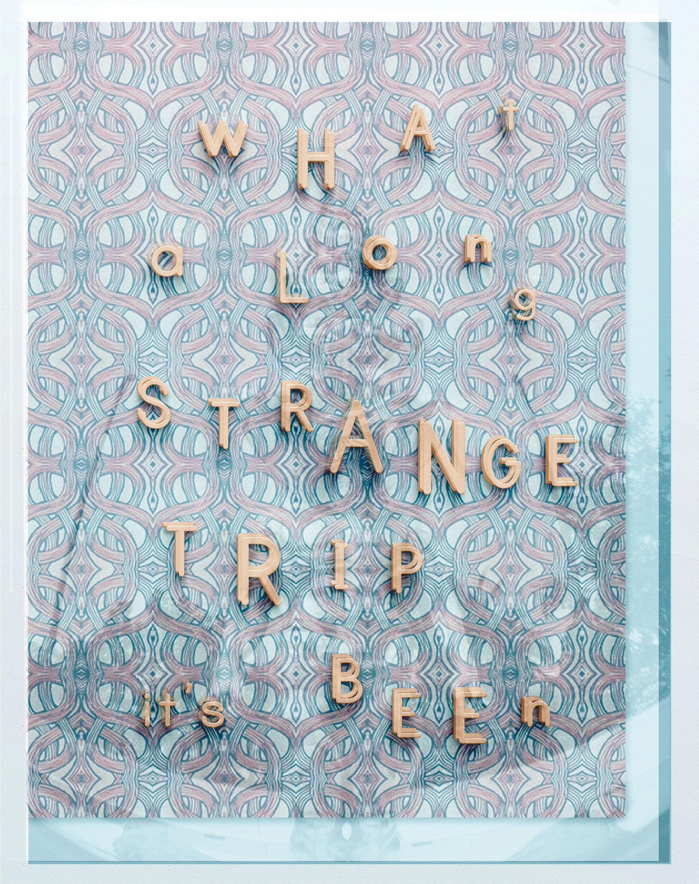 TRIP.jpg