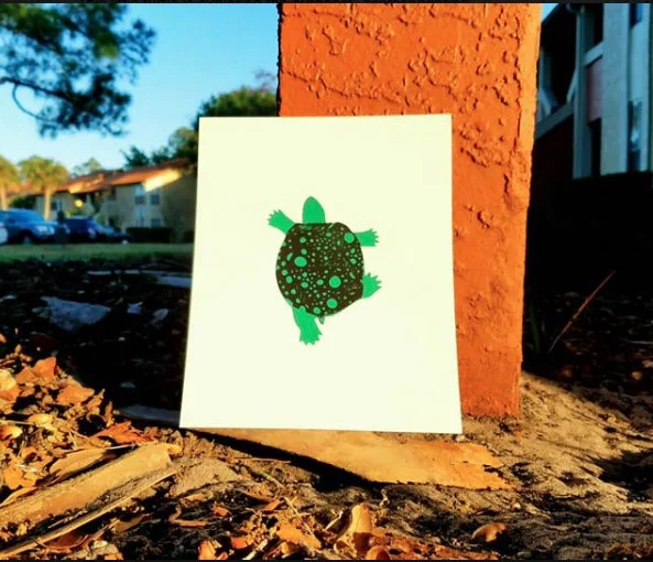 turtle.jpg