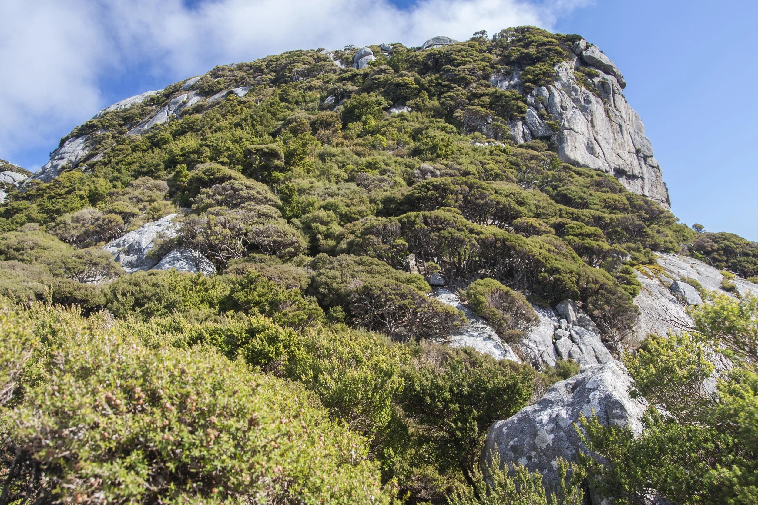 View of the Peak from below the last push.