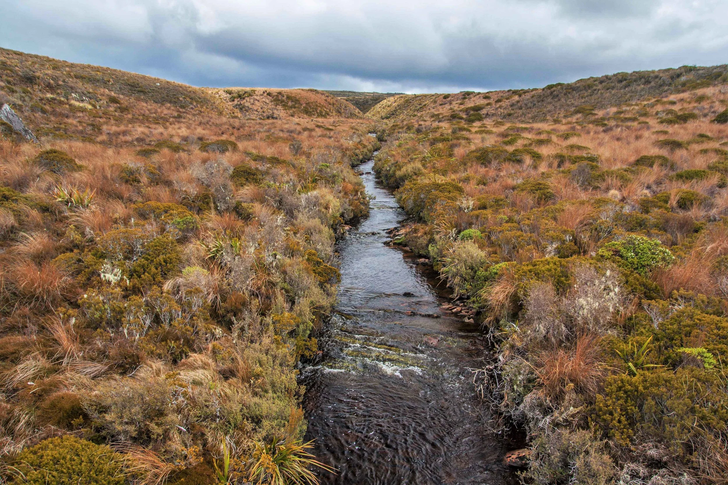 8. Crossing the Gouland Downs.