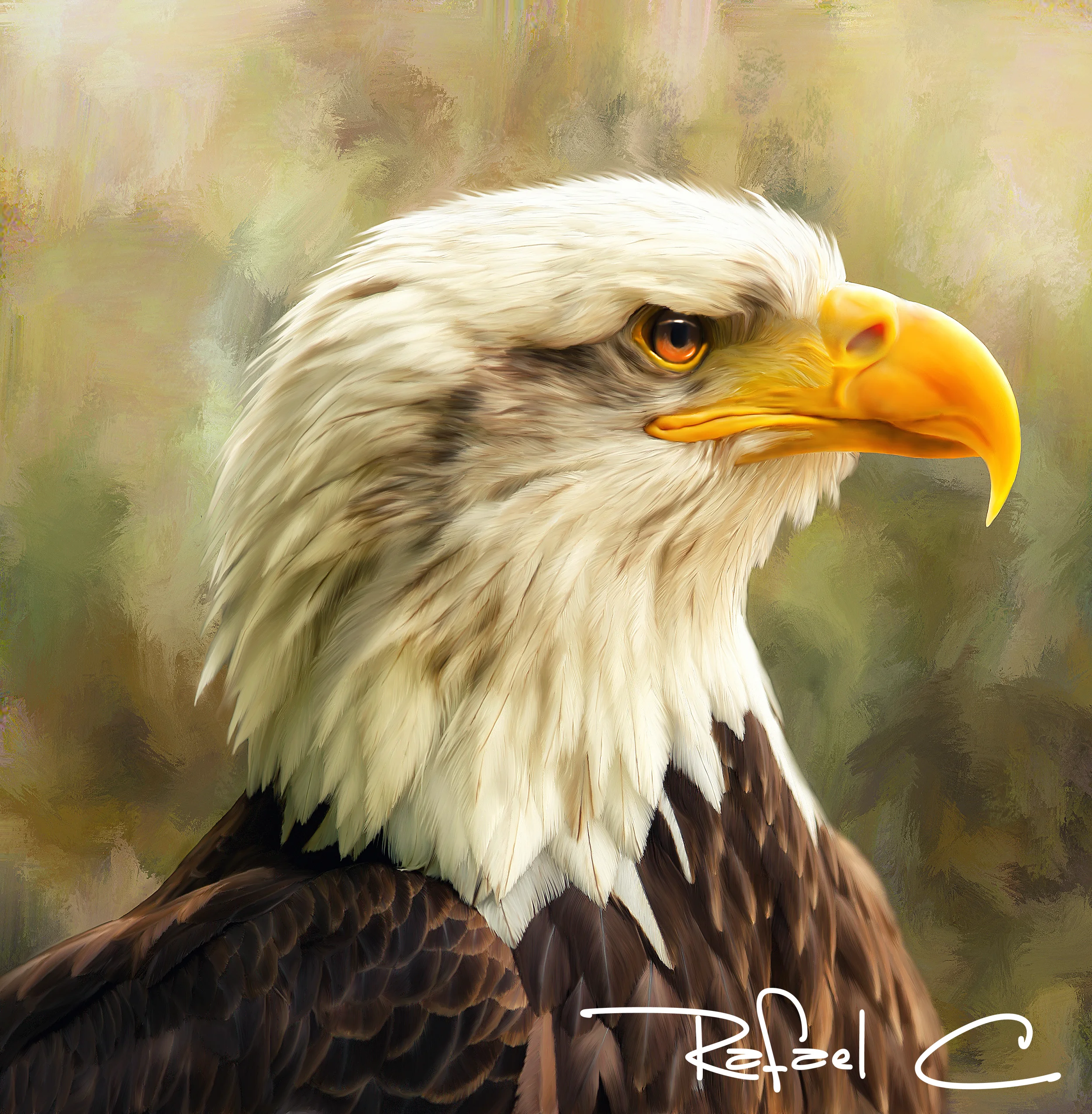 eagle_working9.jpg