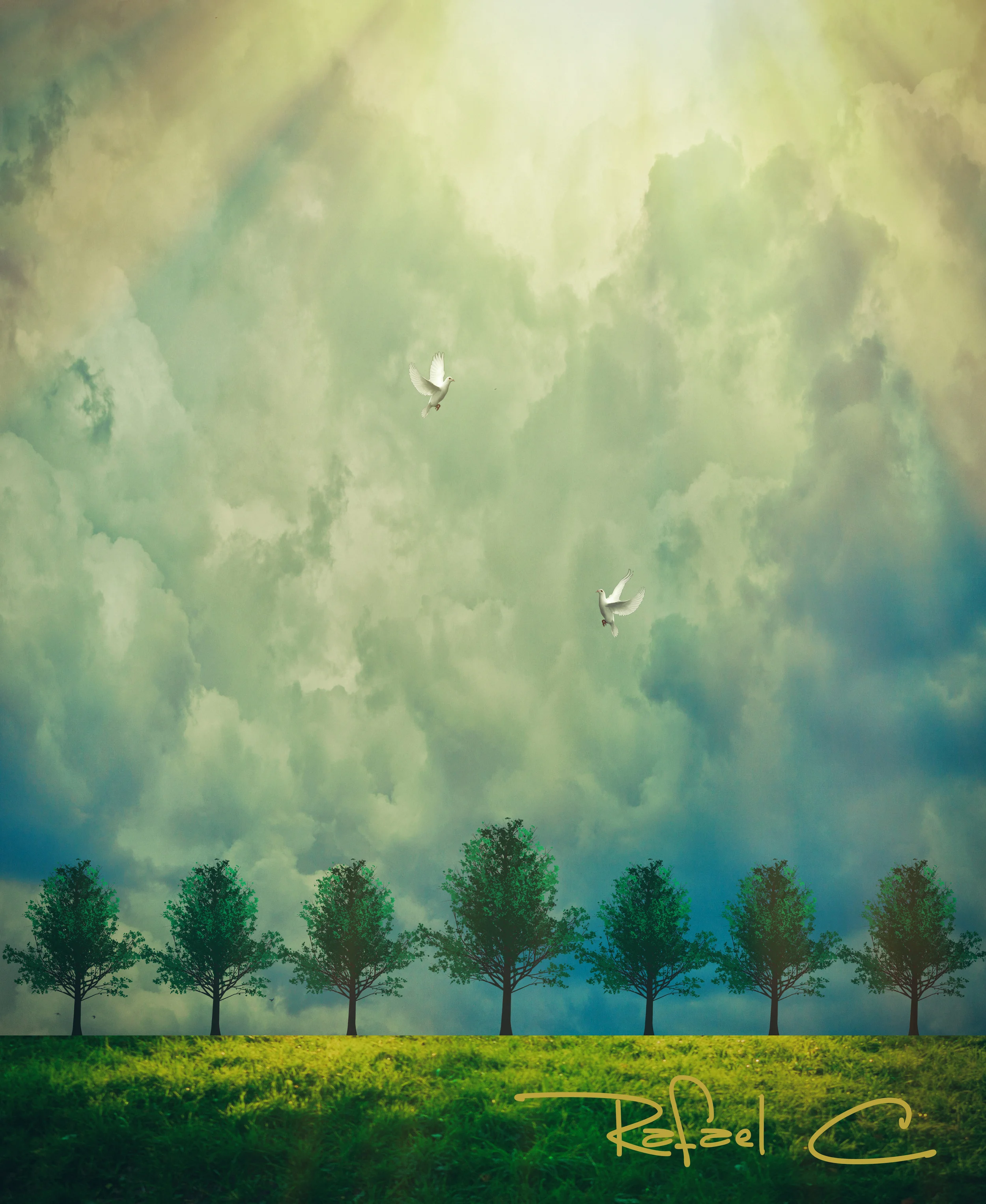 seven trees.jpg
