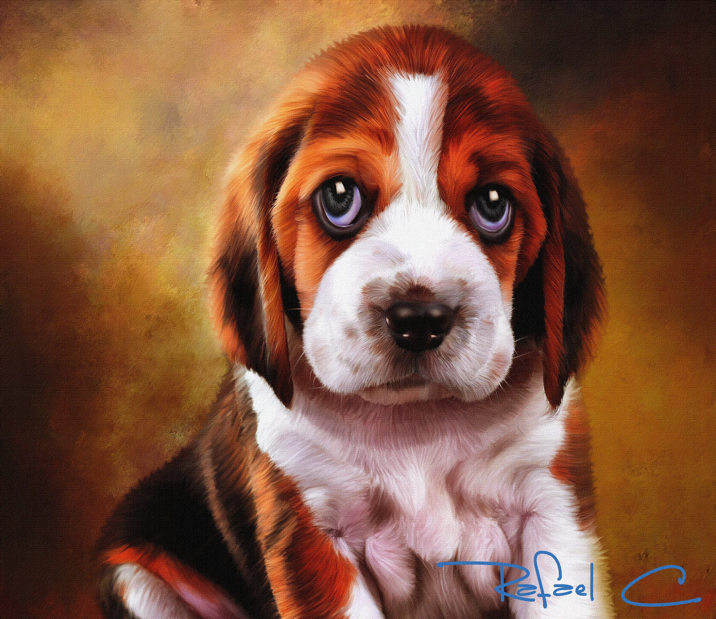 Beagle_16_sig_texture_internet.jpg