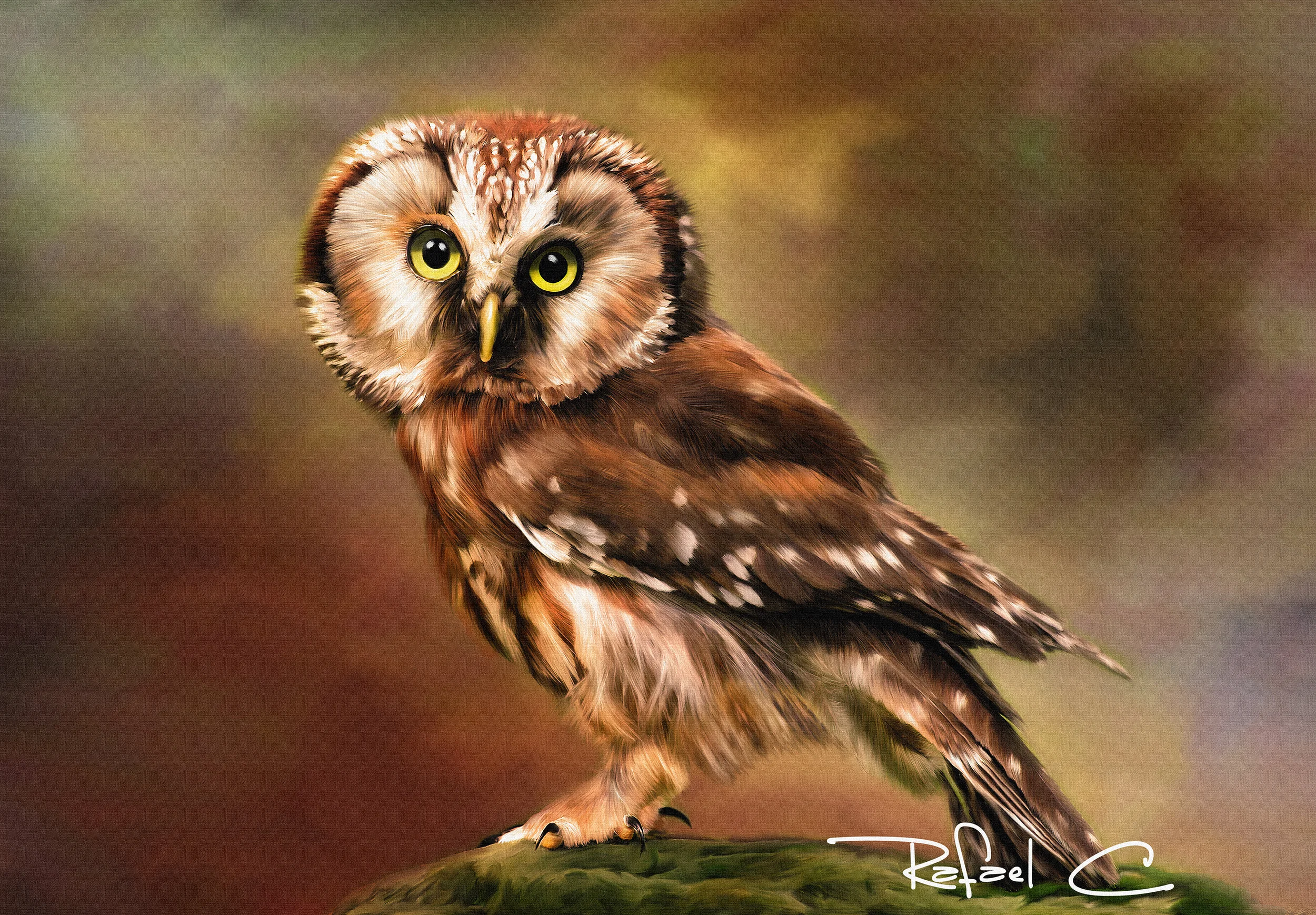 owl_12_signature_texture.jpg