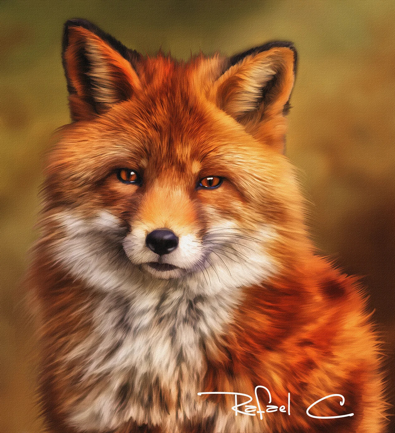 fox_working_13.jpg