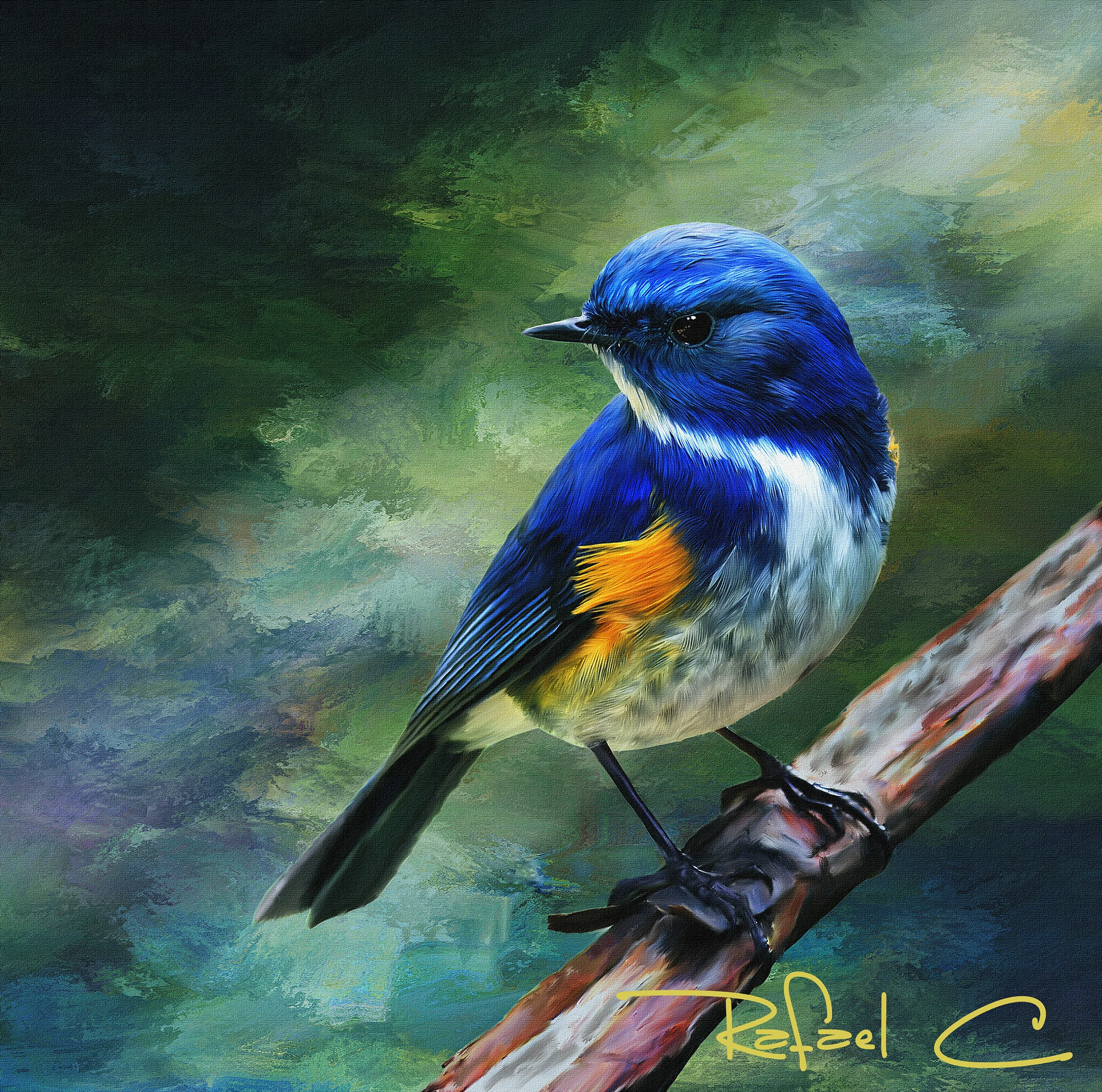 bird11_texture_sharpen_websitet.jpg