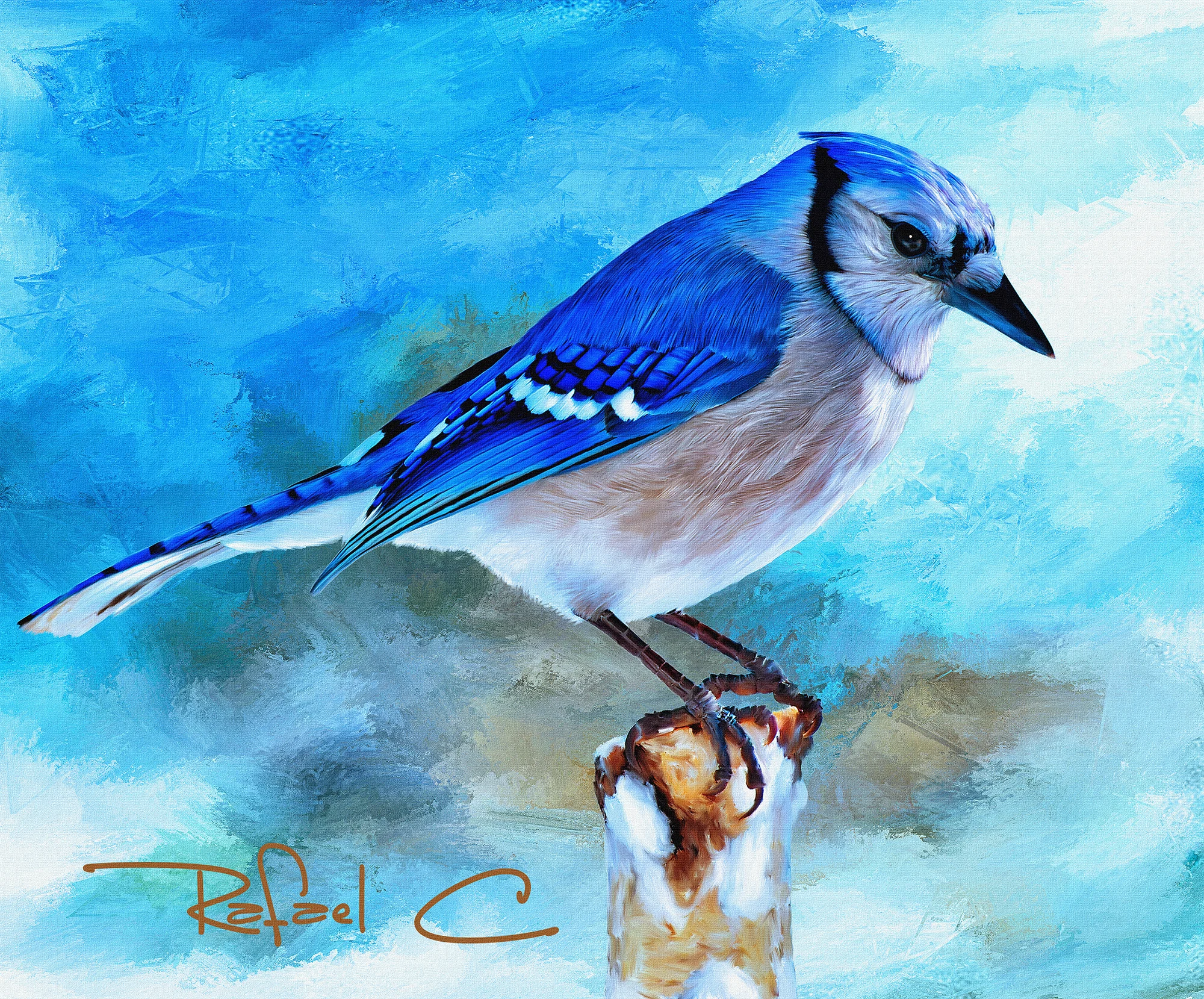 Bluebird_sharpen_working8_website.jpg