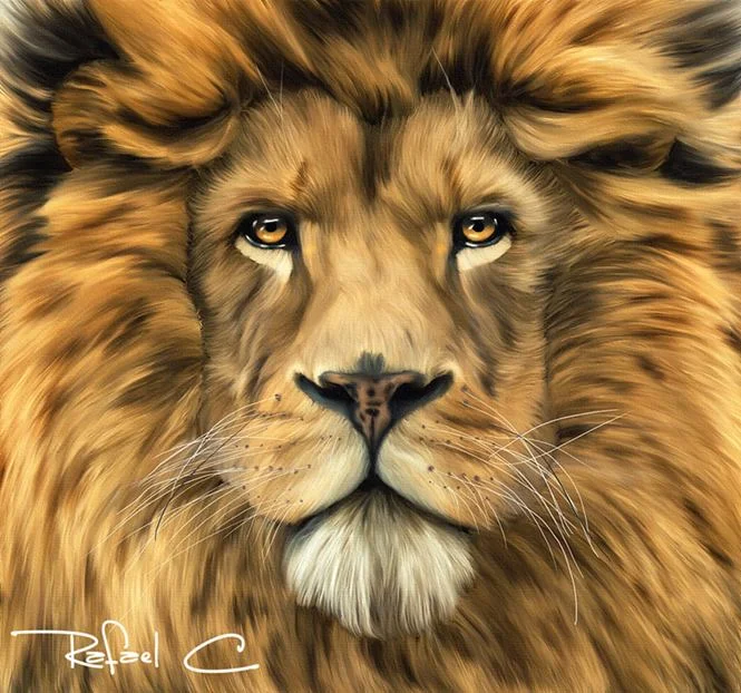 lion.jpg