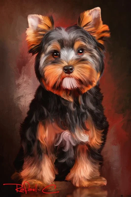 puppy.jpg