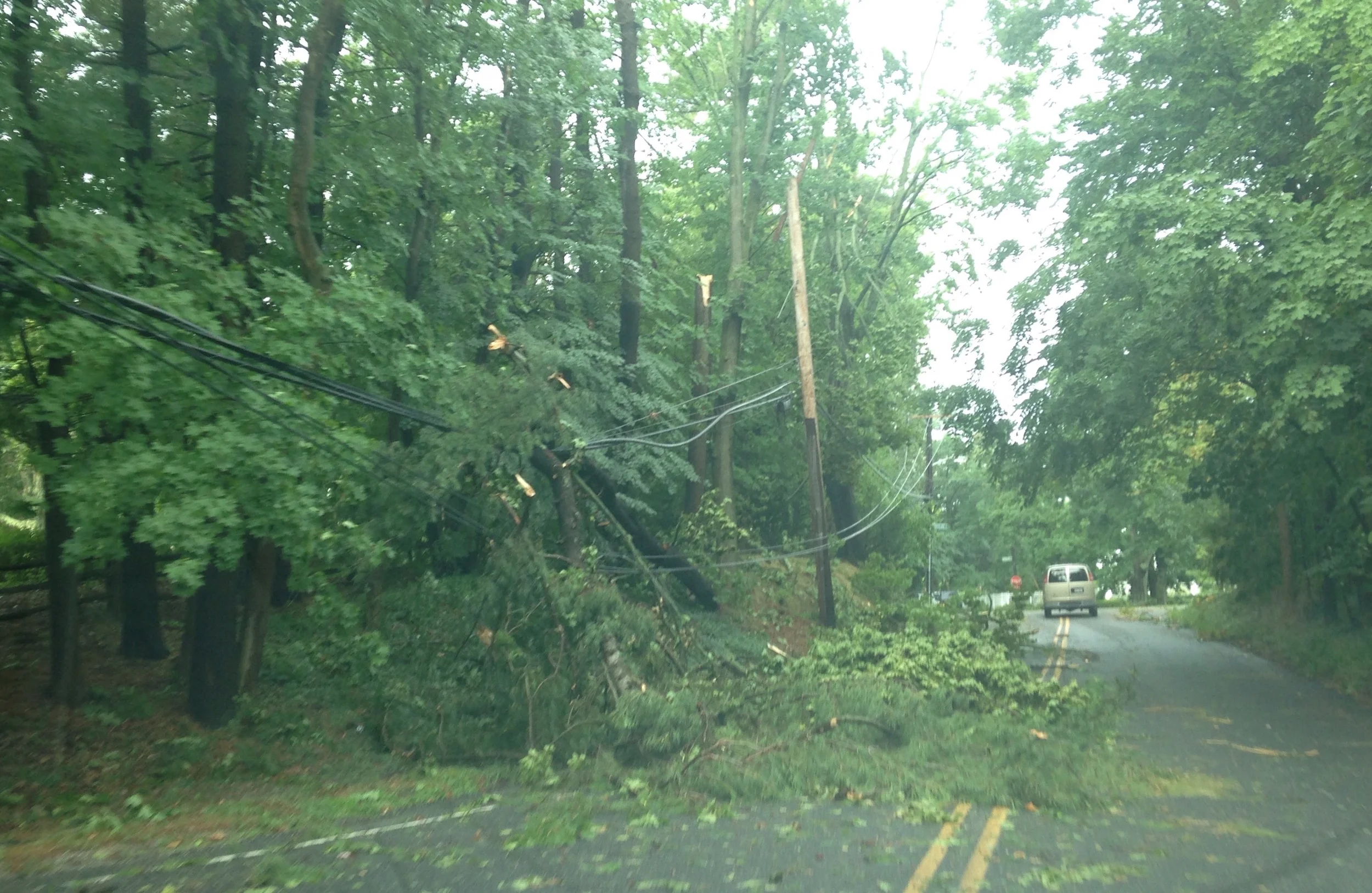 Downed Electric Wires
