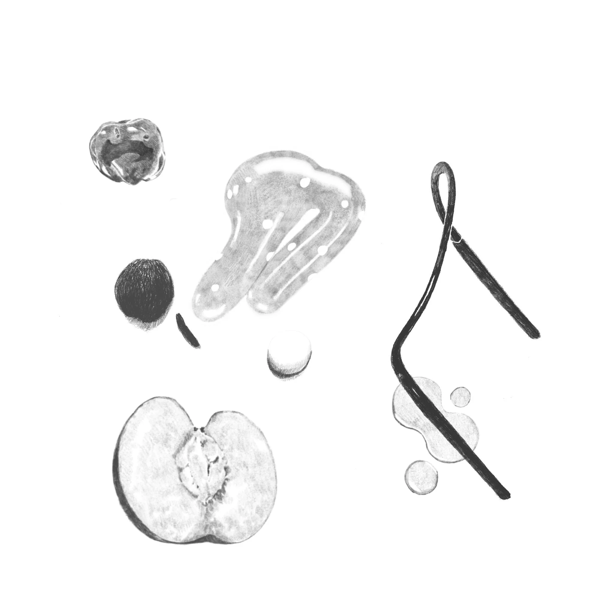 Untitled_Artwork 2.JPG