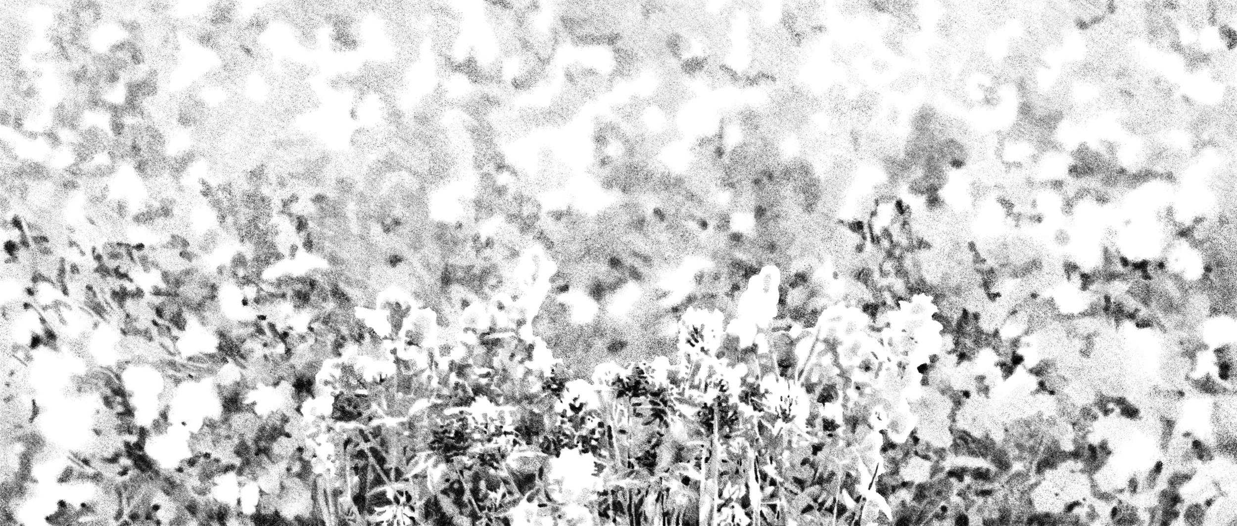 Untitled_Artwork 9.png