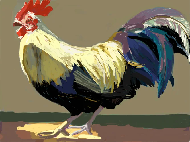 rooster-in-lodi.jpg