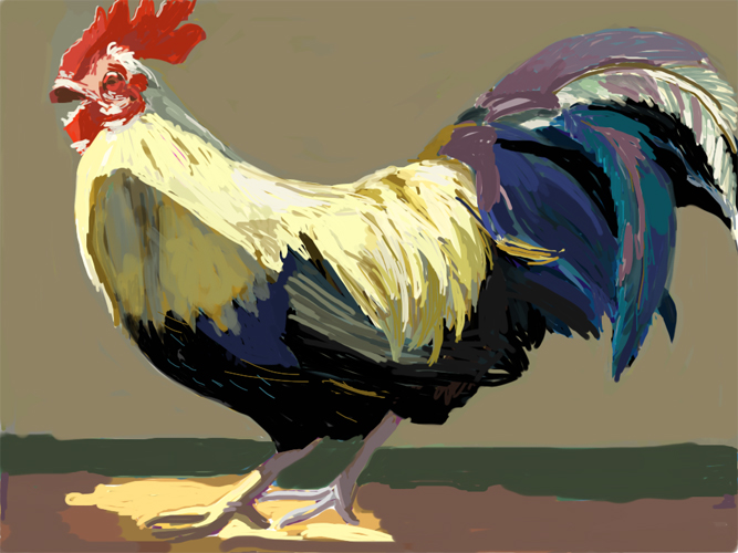 rooster-in-lodi.jpg