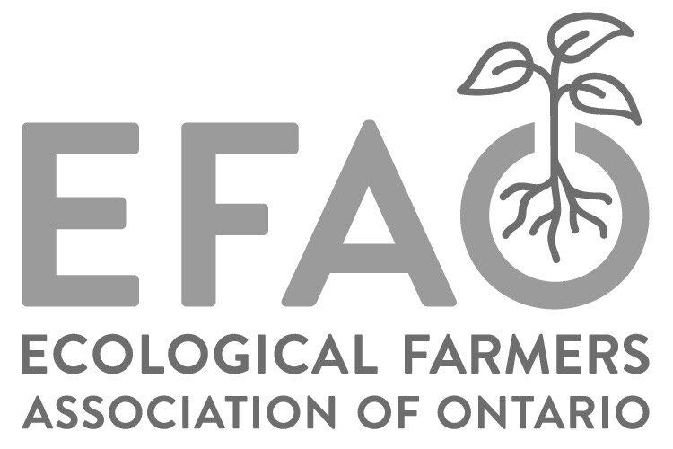 new-EFAO-logo.jpg