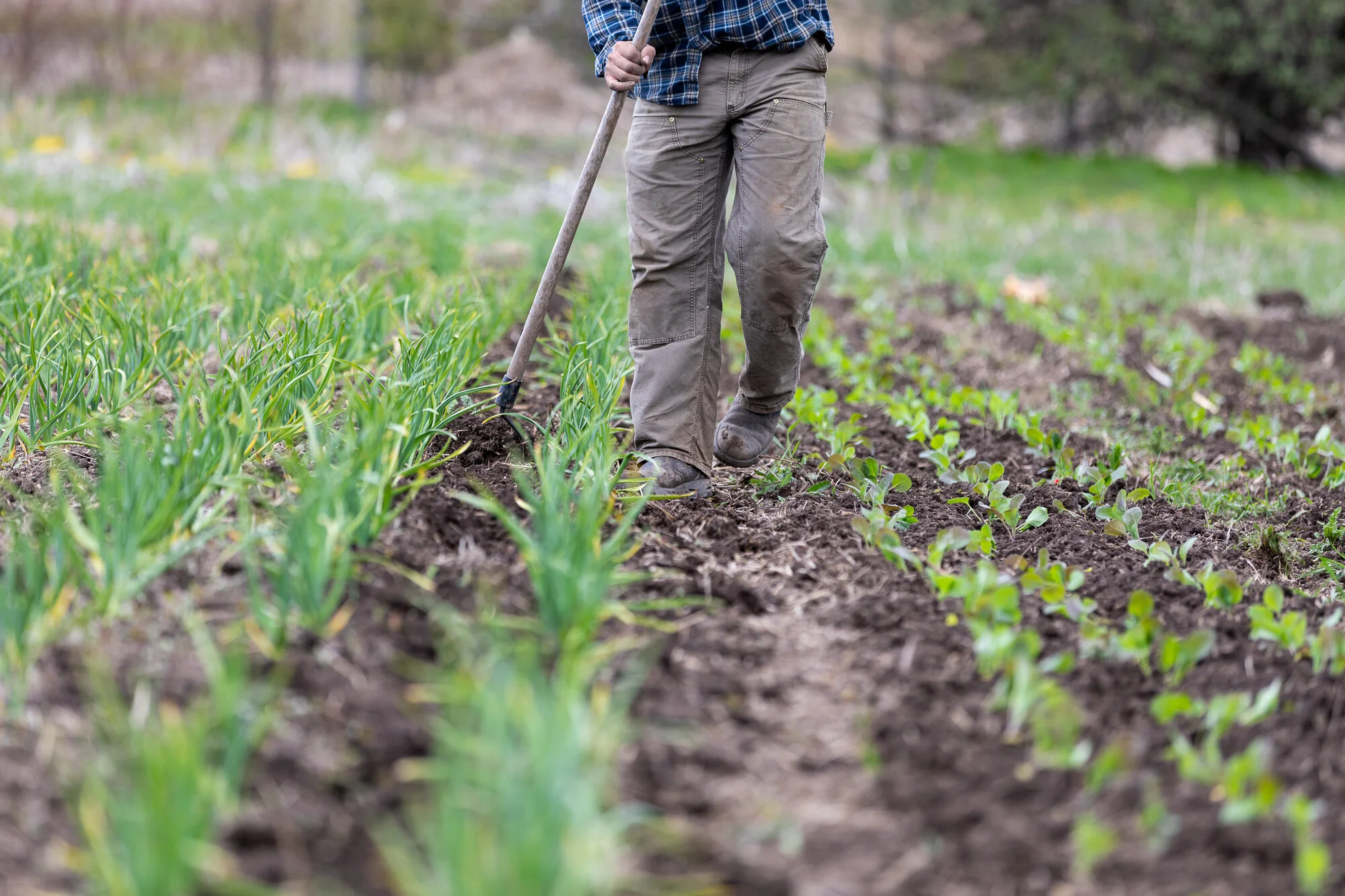 Joyfully_20May2019_0513 5.JPG