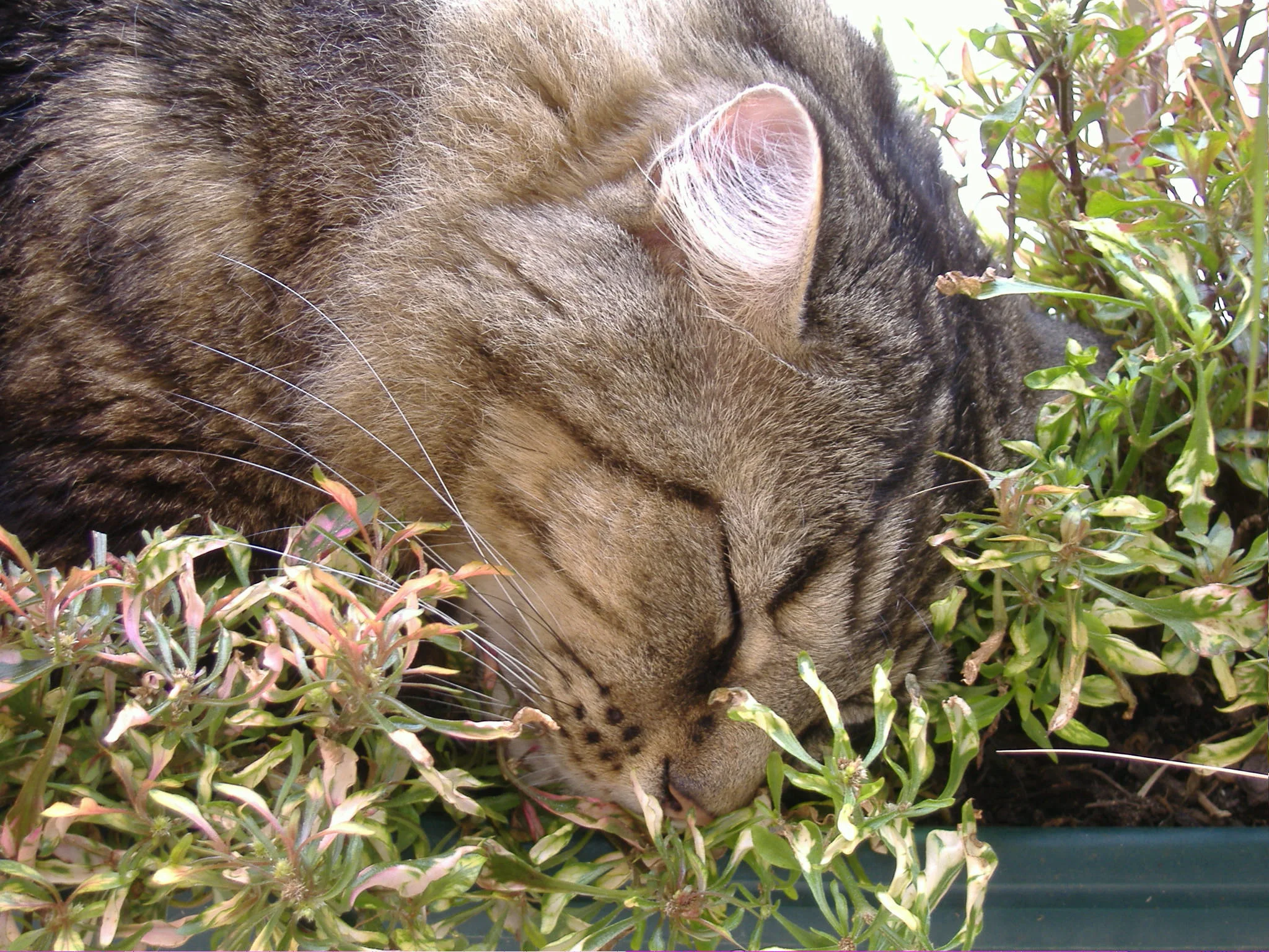 DSCF2361.JPG