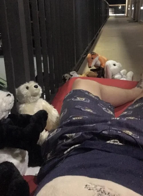 Stuffed Power Animals will protect him from the locusts.