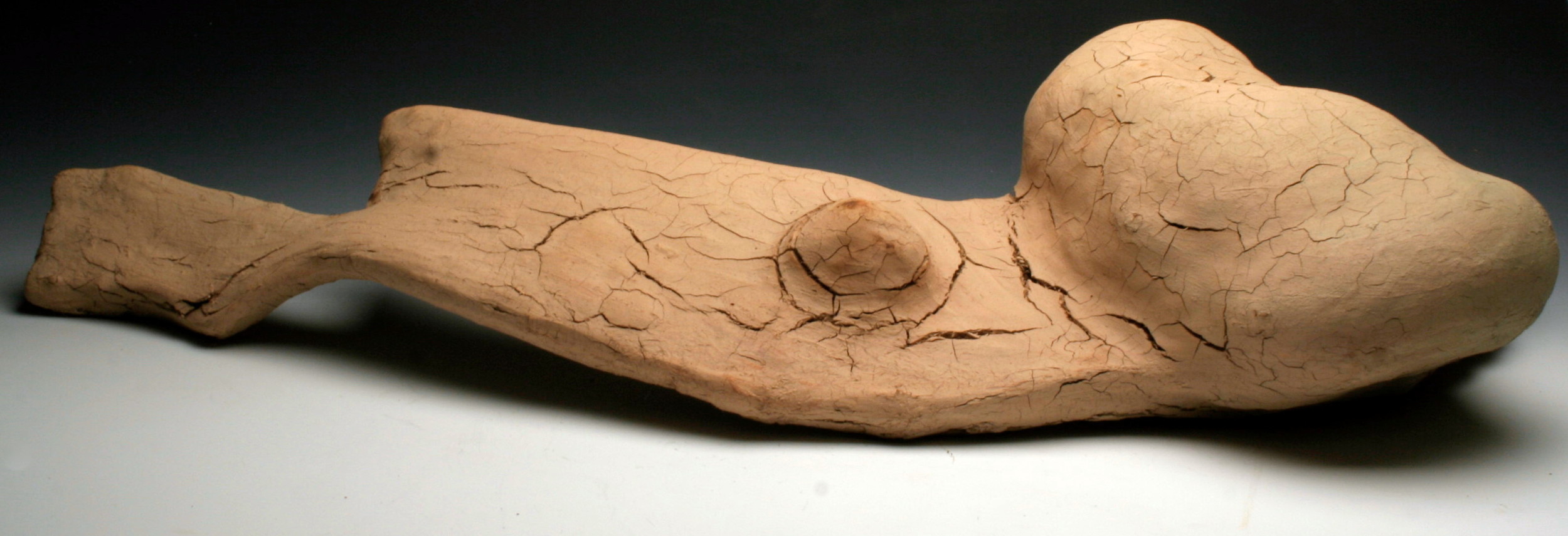 Object 2010