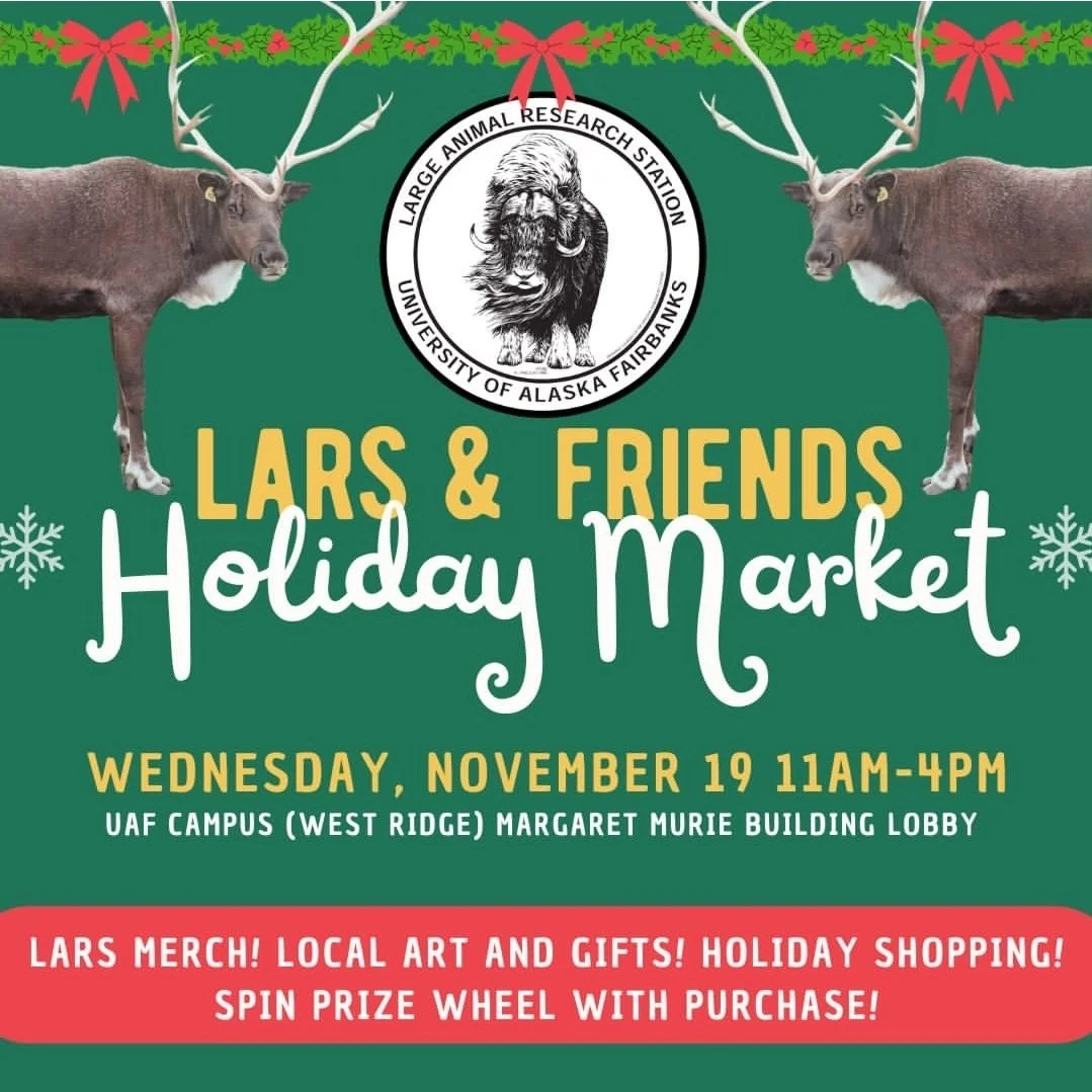 LARS & Friends Holiday Market