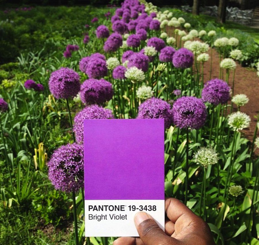What color mood are you in? 