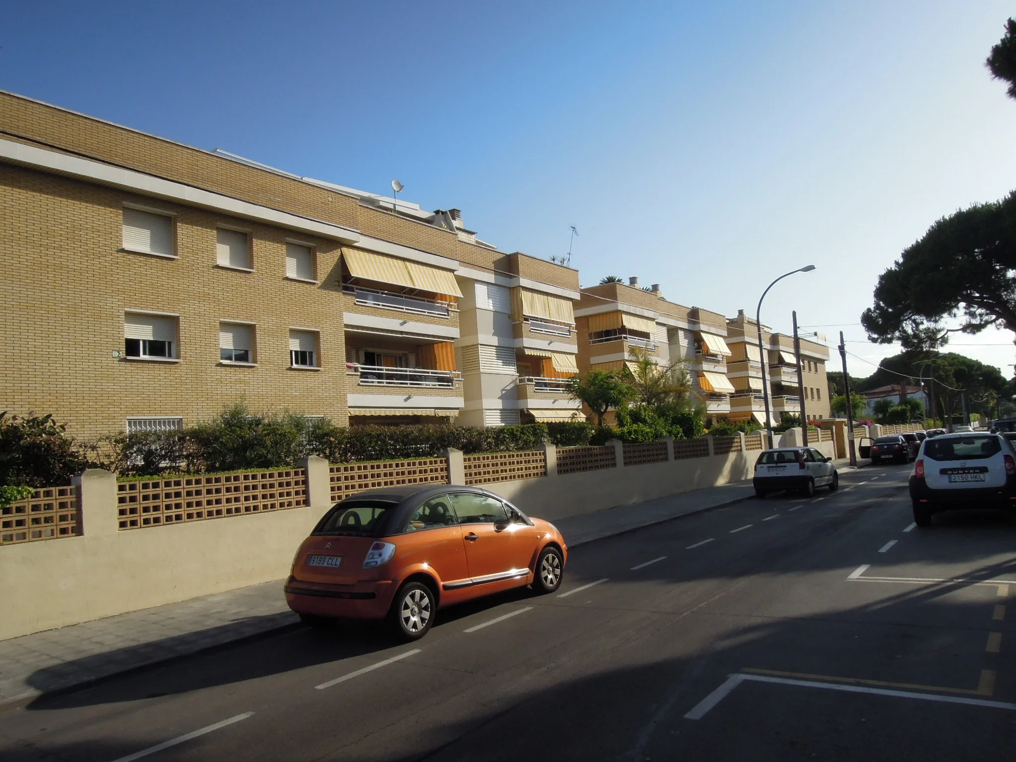 dscn22512.jpg