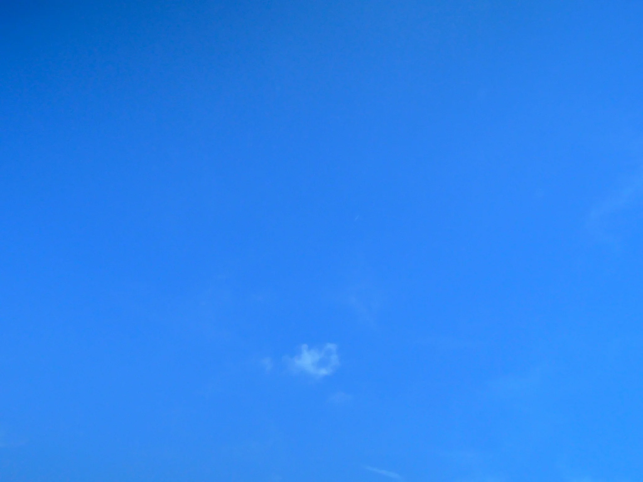 dscn2493.jpg