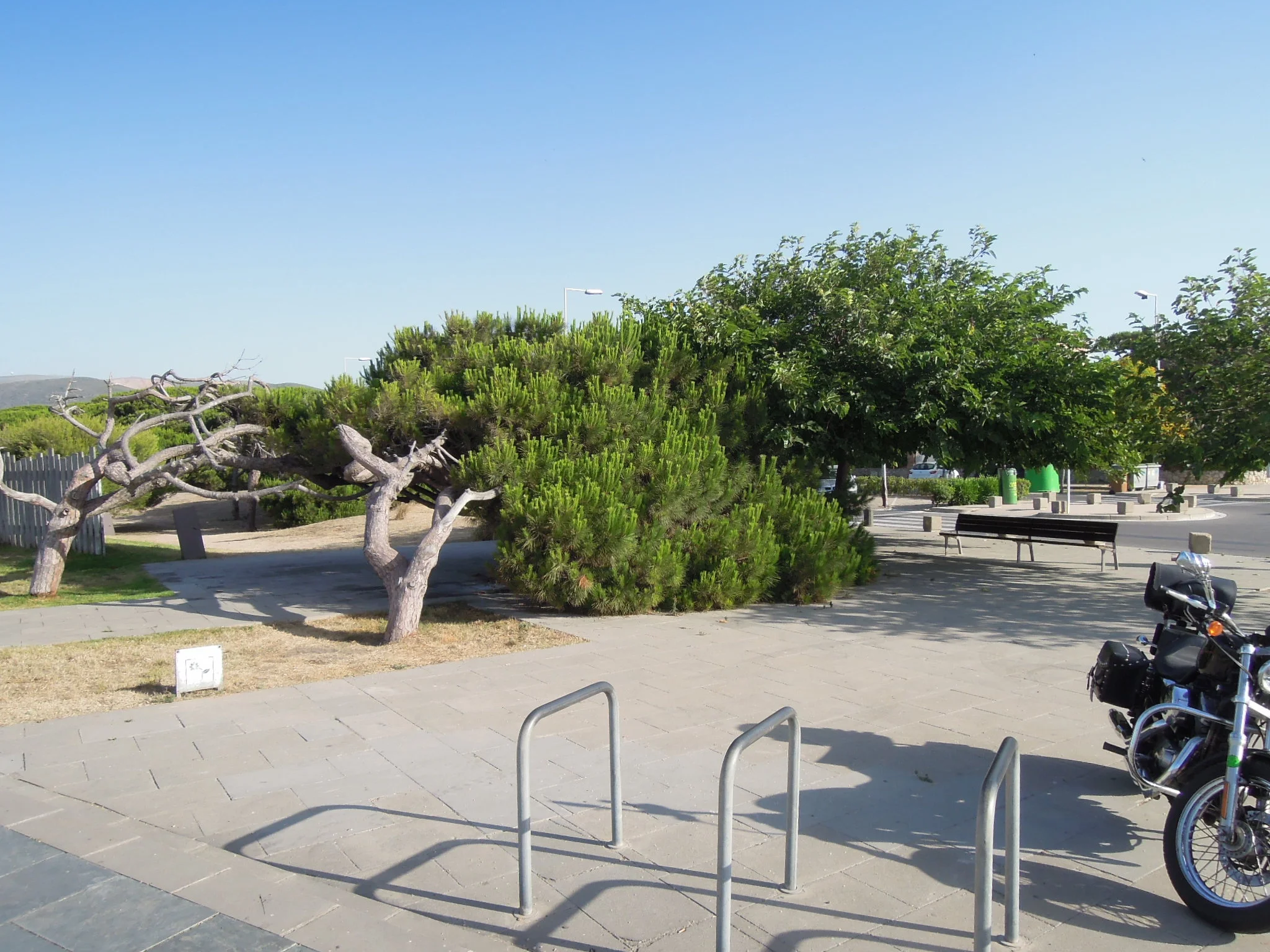 dscn2261.jpg
