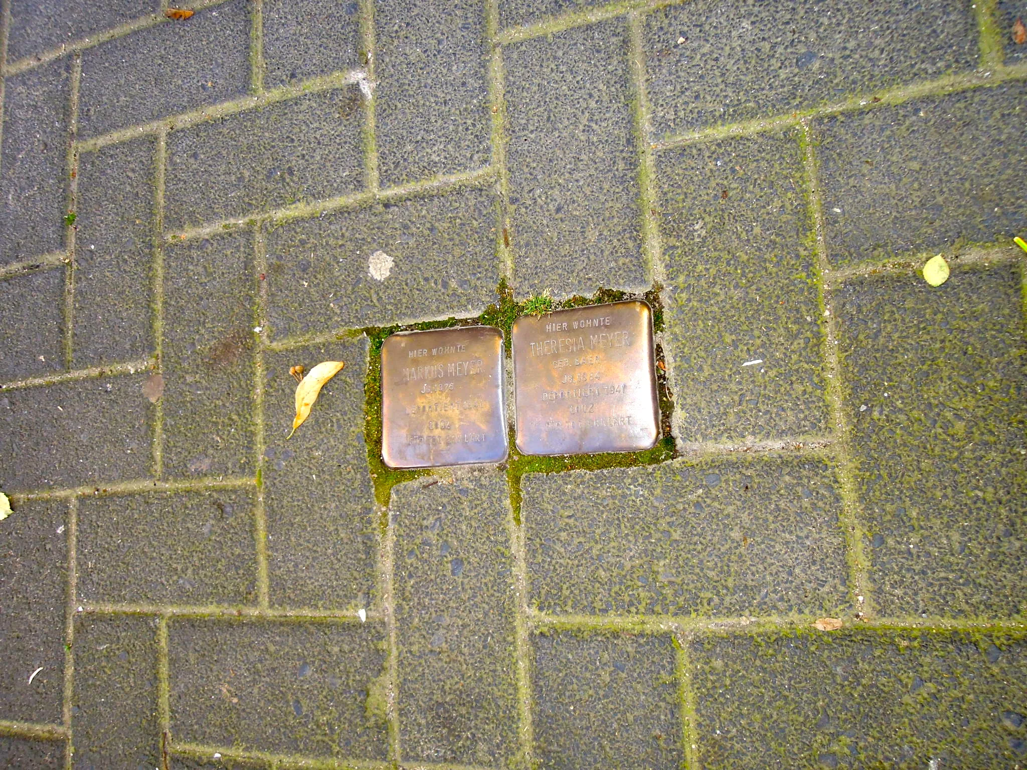 dscn3251.jpg