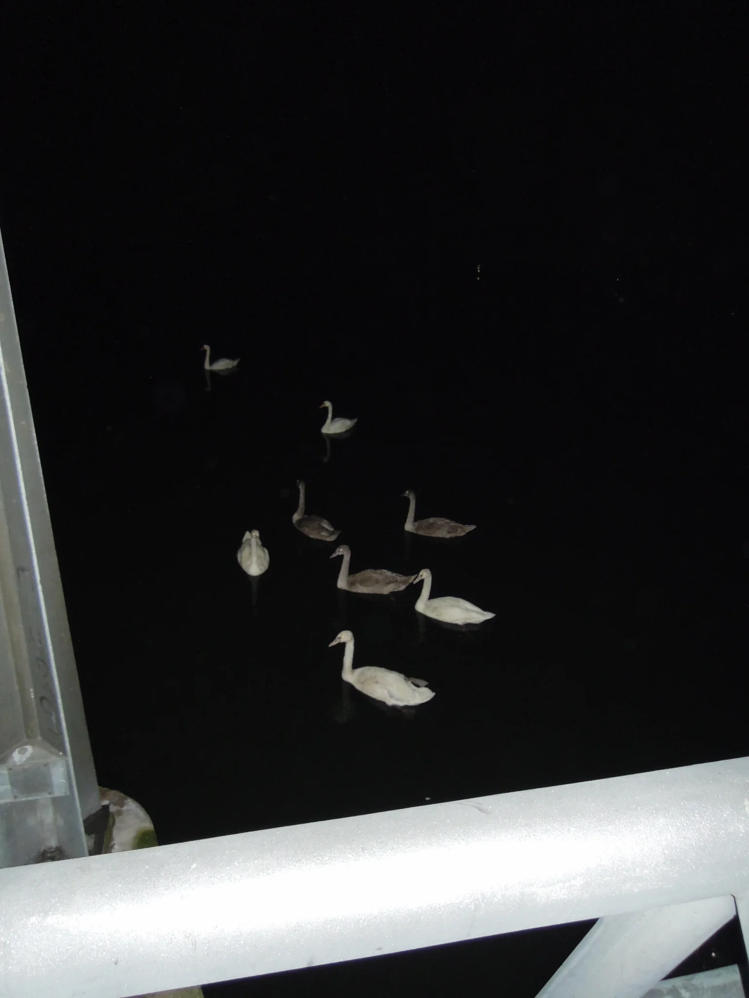 dscn4588.jpg