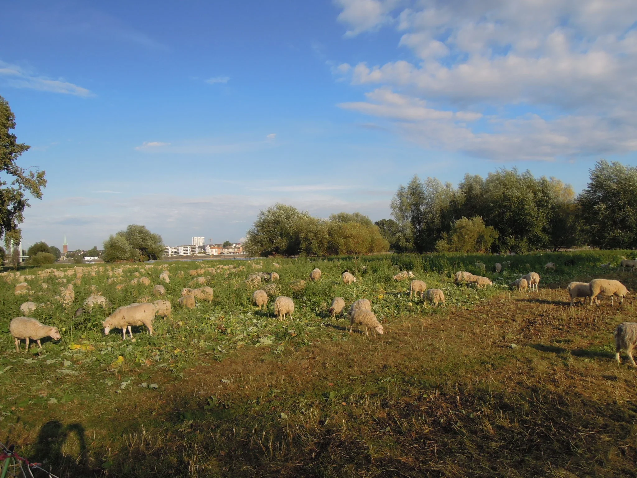 dscn4593.jpg