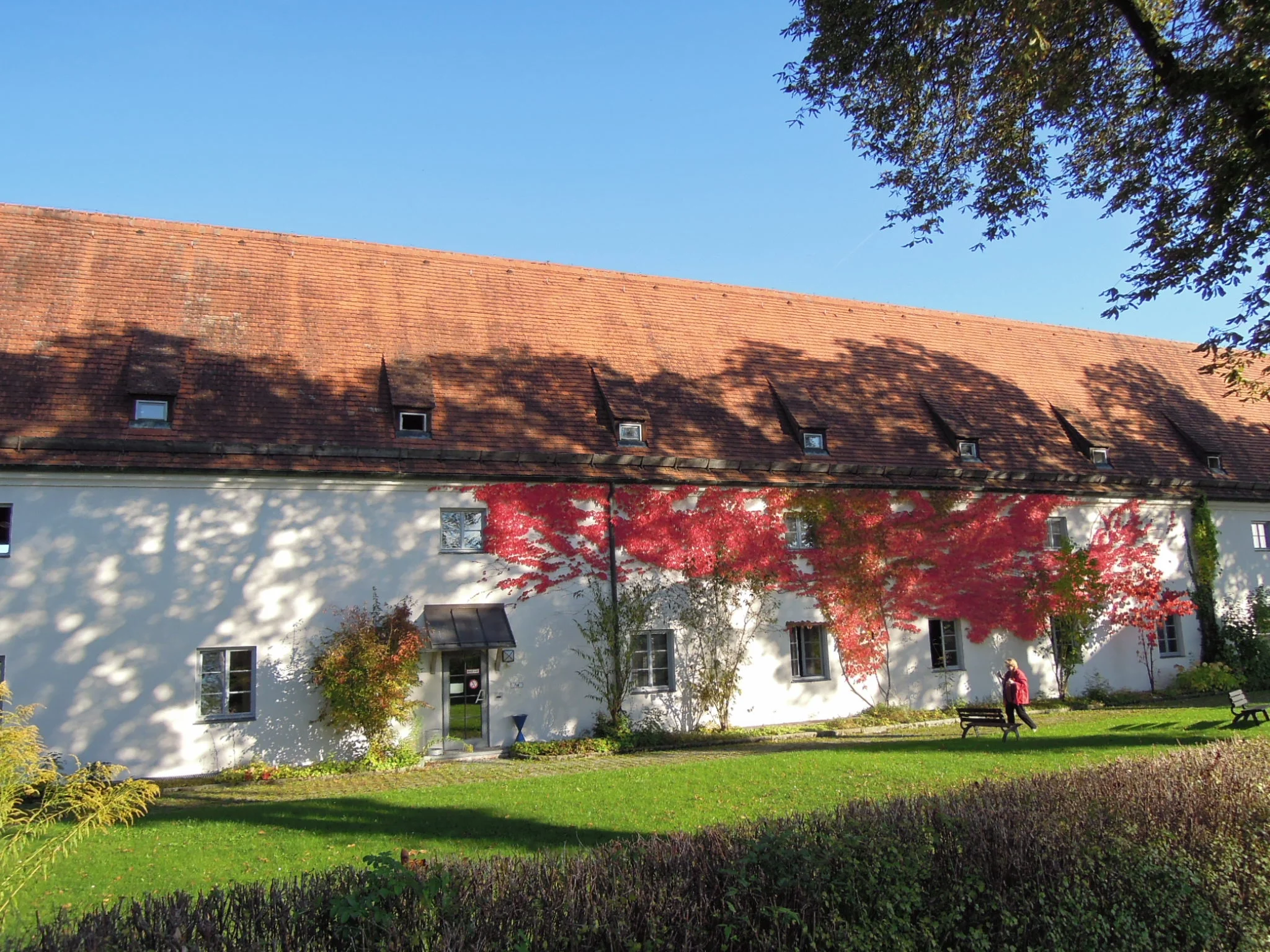dscn5440.jpg