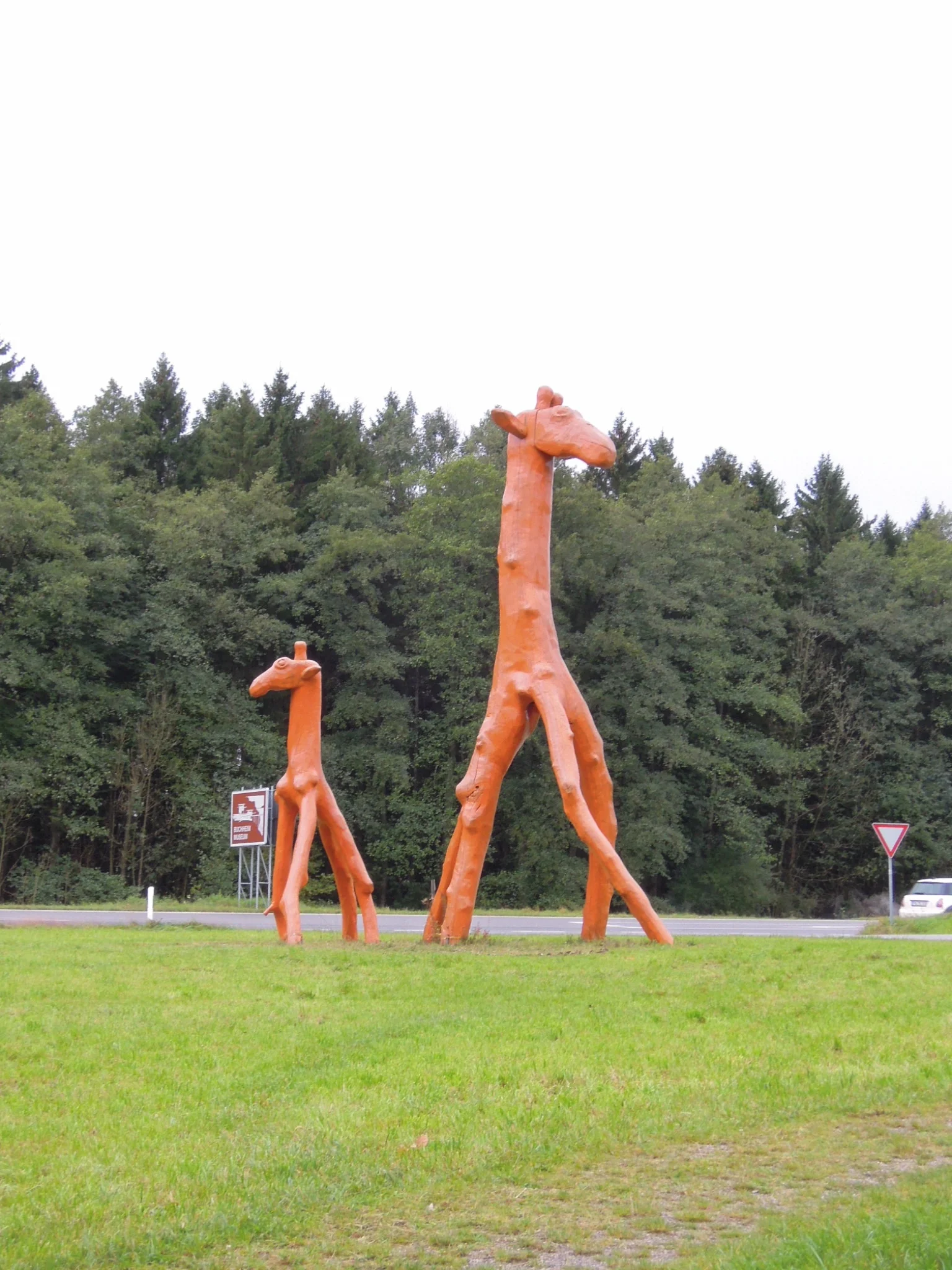 dscn5541.jpg