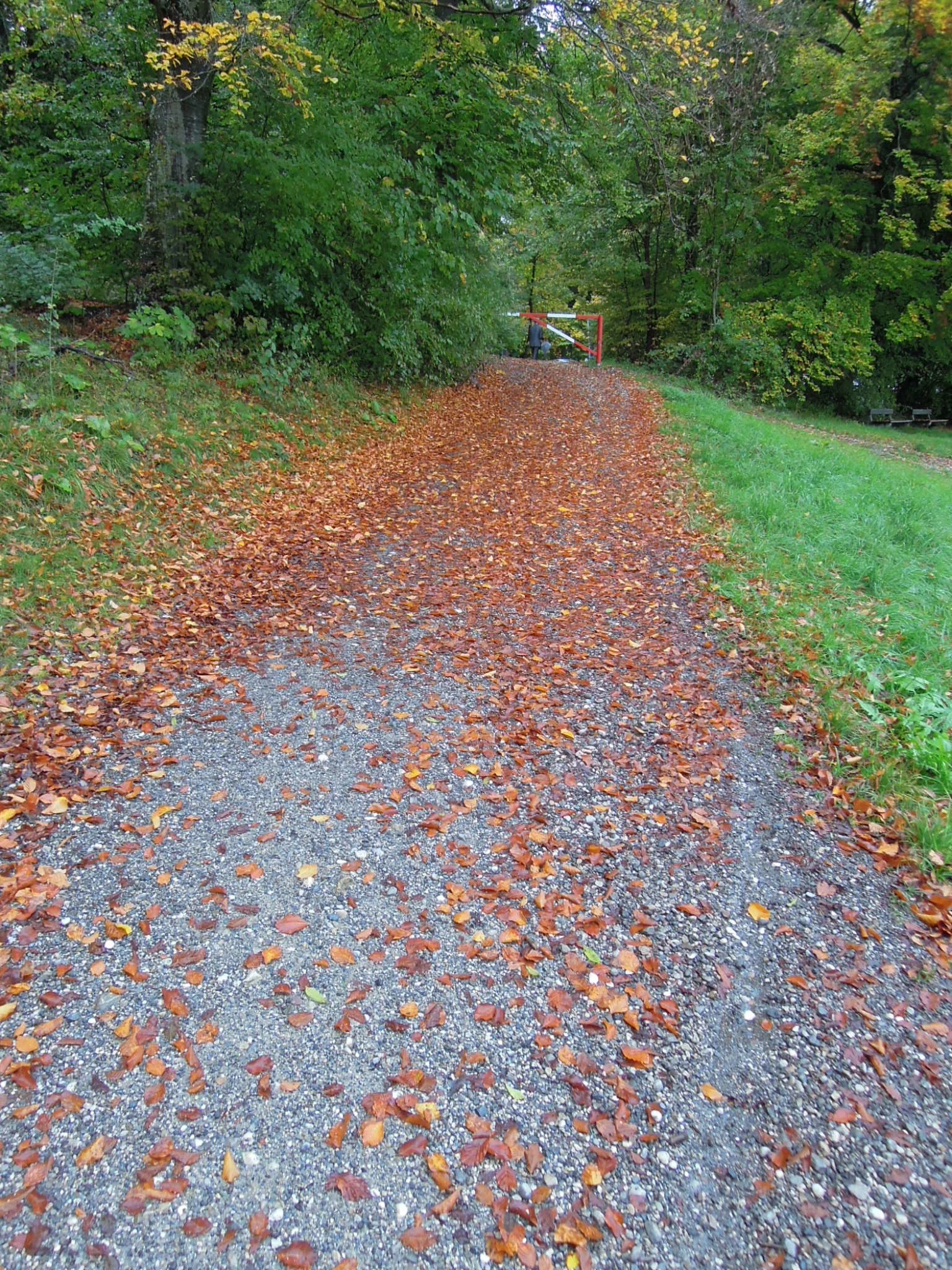 dscn5539.jpg