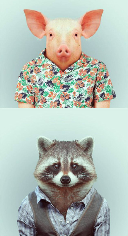 FASHION ZOO ANIMALS