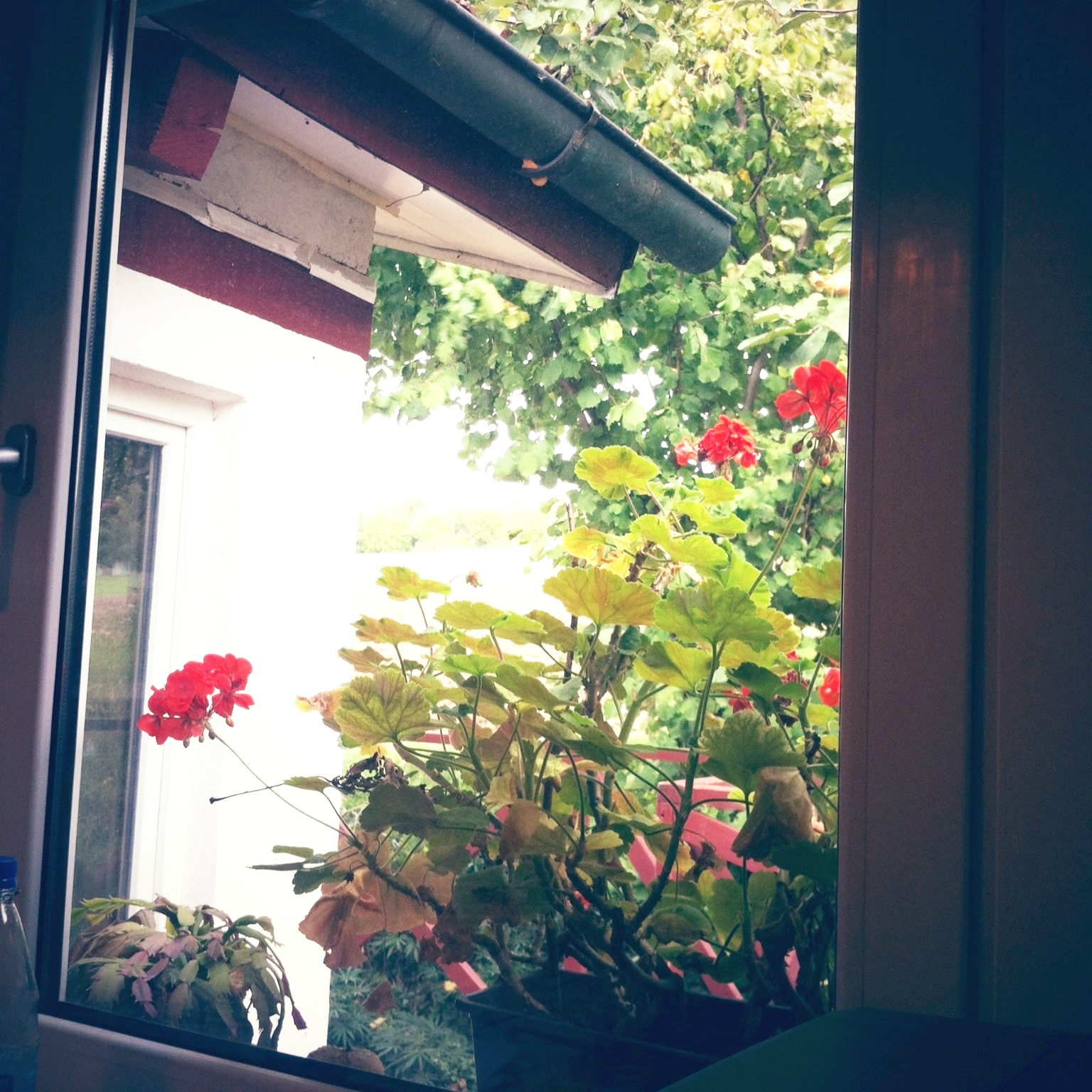 20121004-220139.jpg