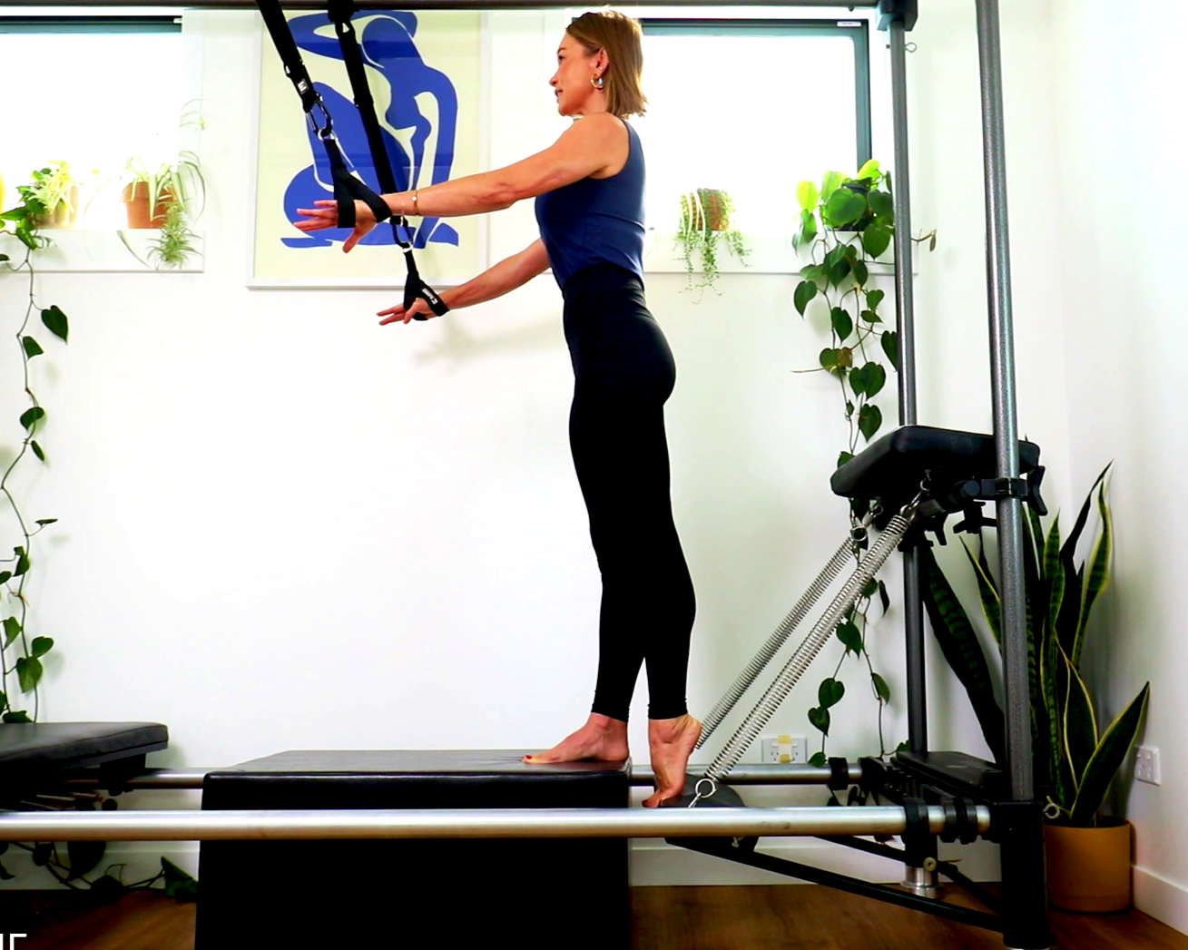 NEW TUTORIAL FOR BEGINNER, REHAB & ADVANCED STUDENTS