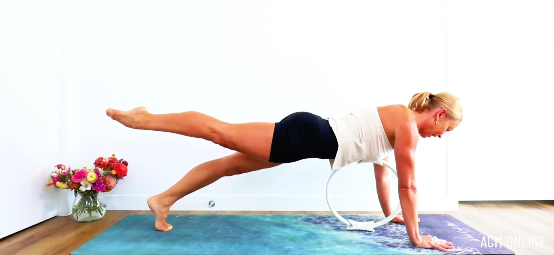 MC PLANK!