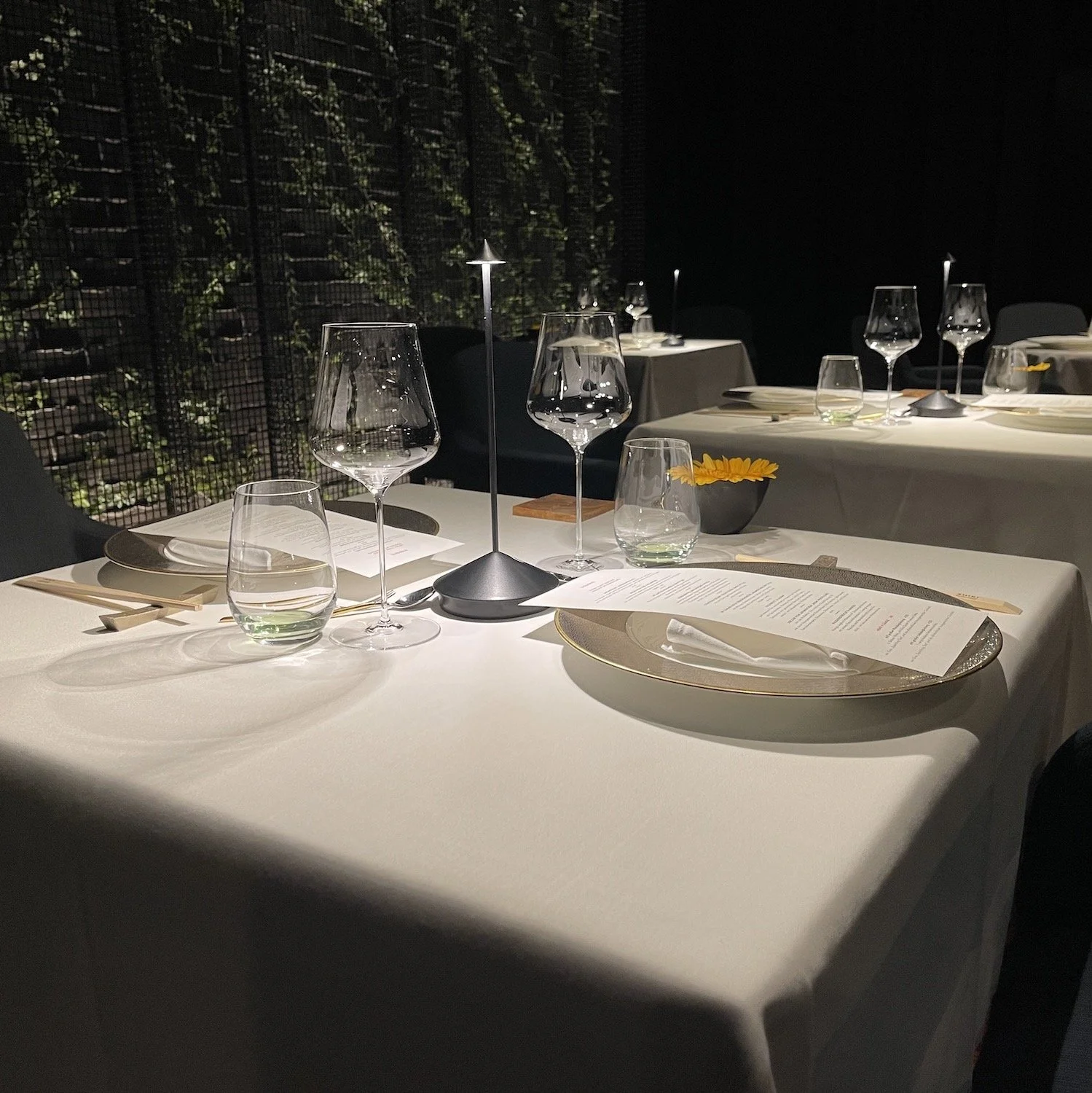 Zafferano Pina - Shiki Wien